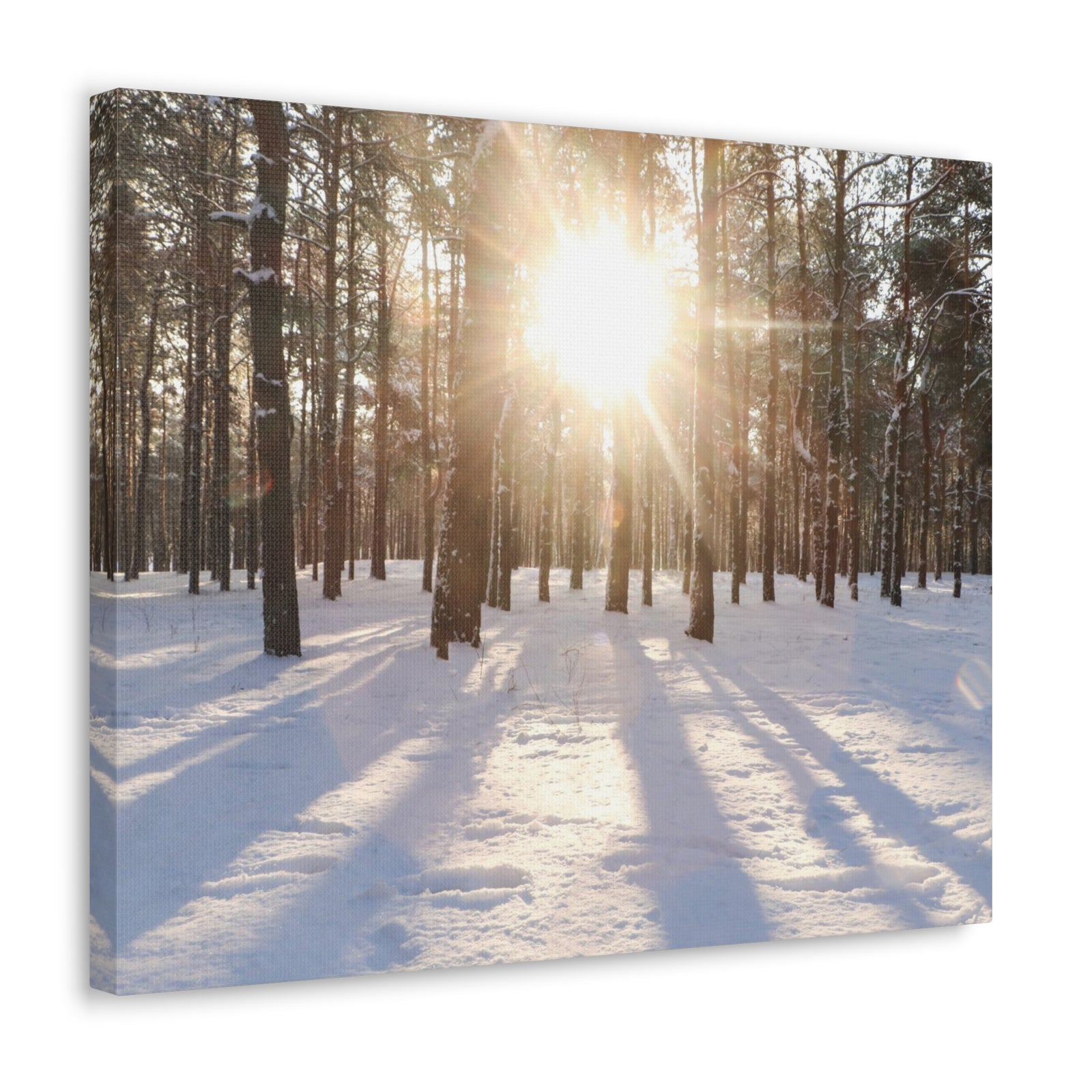 Tree Forest Covered In Snow Nature Wilderness Photography Canvas Wall Art for Home Decor Ready-to-Hang-Express Your Love Gifts