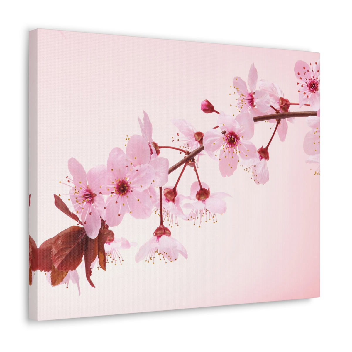 Single Cherry Blossom Forest Floral Nature Photography Canvas Wall Art for Home Decor Ready-to-Hang-Express Your Love Gifts
