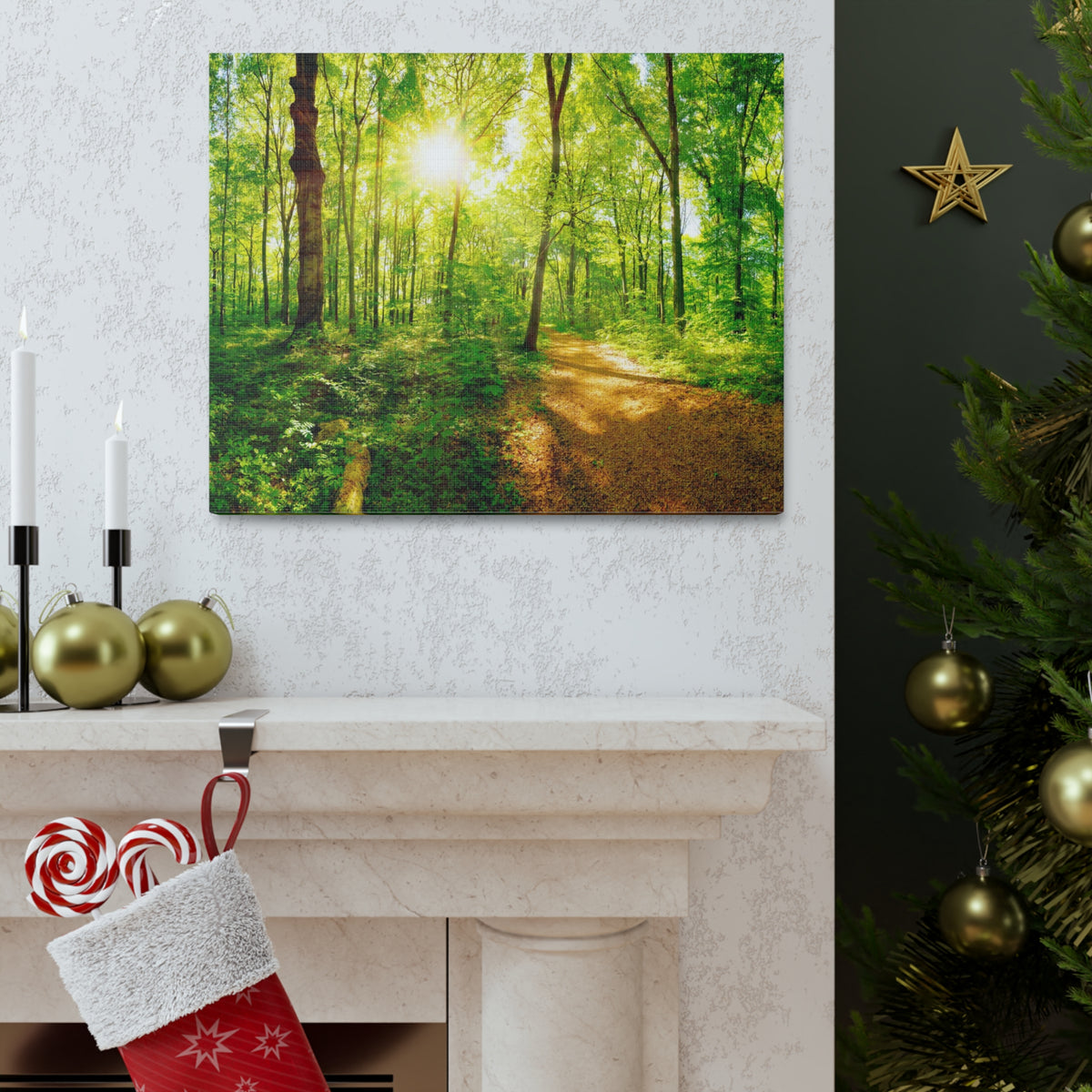 Green Forest Sunlight Nature Wilderness Photography Canvas Wall Art for Home Decor Ready-to-Hang-Express Your Love Gifts