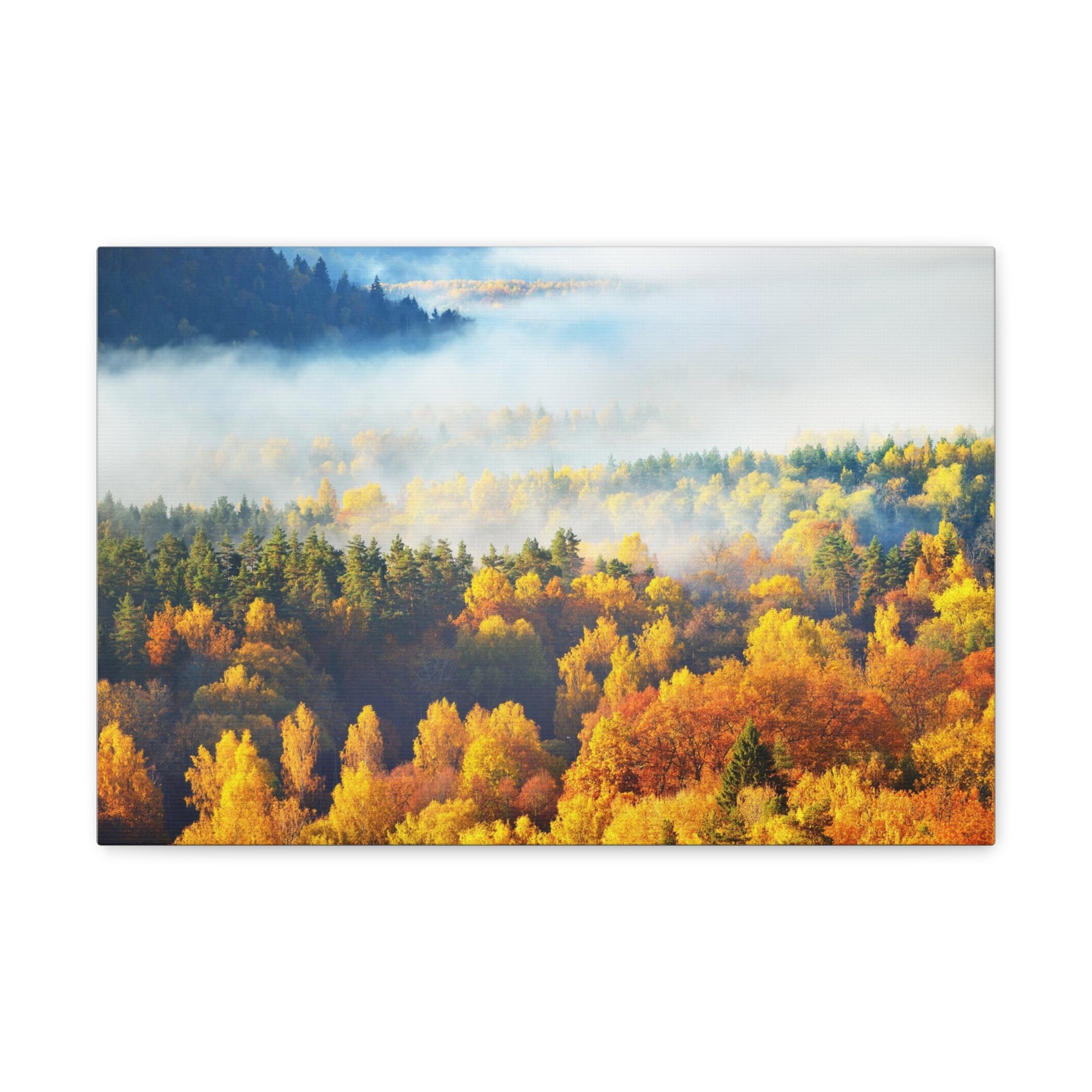 Forest Mystic Autumn Nature Wilderness Photography Canvas Wall Art for Home Decor Ready-to-Hang-Express Your Love Gifts