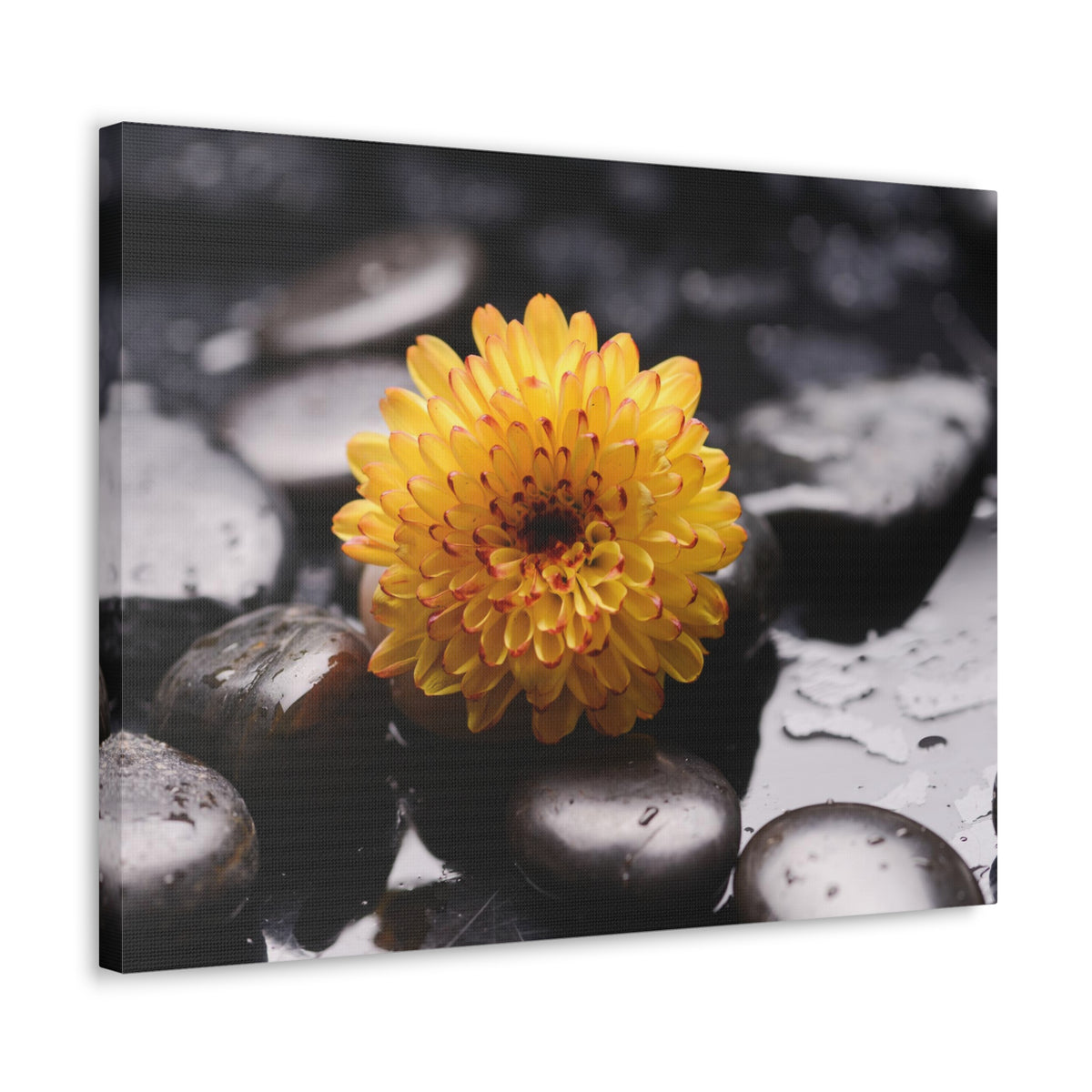 Macro of Yellow Flower Forest Floral Nature Photography Canvas Wall Art for Home Decor Ready-to-Hang-Express Your Love Gifts