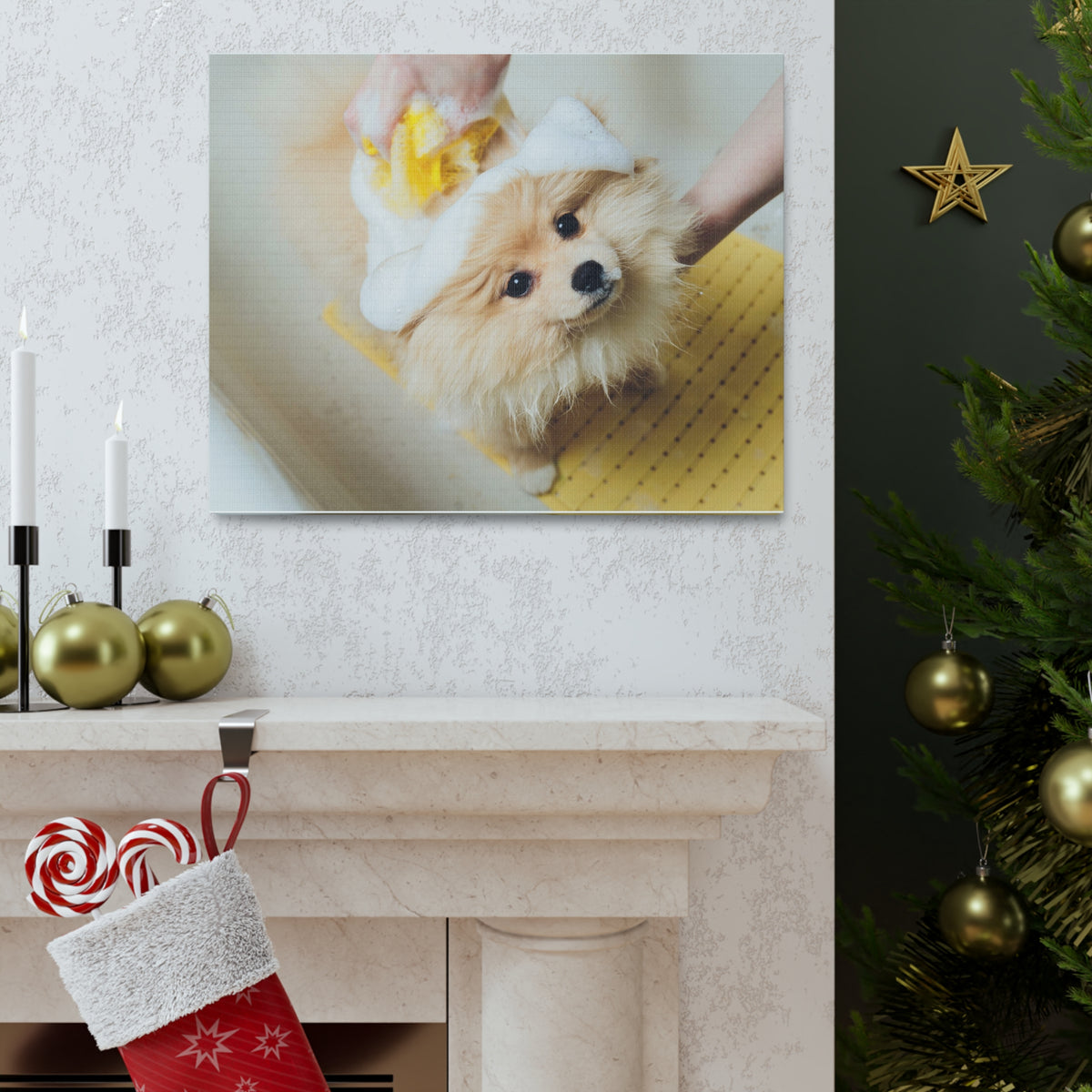 Cute Pomeranian Bathee Canvas Wall Art for Home Decor Ready-to-Hang-Express Your Love Gifts