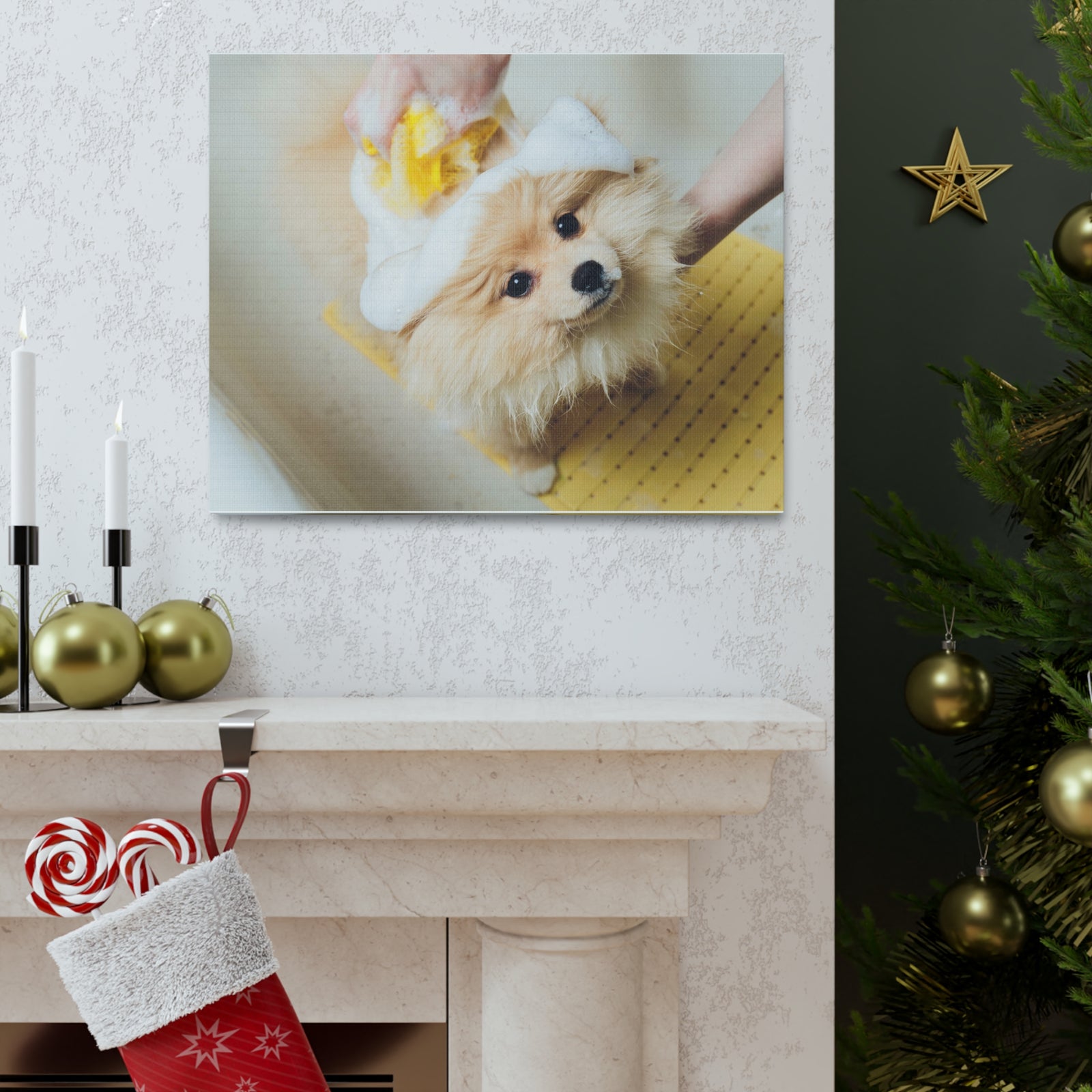 Cute Pomeranian Bathee Canvas Wall Art for Home Decor Ready-to-Hang-Express Your Love Gifts