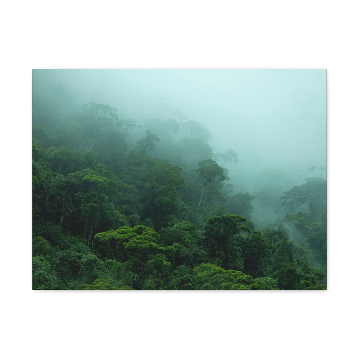 Dark Misty Forest Nature Wilderness Photography Canvas Wall Art for Home Decor Ready-to-Hang-Express Your Love Gifts