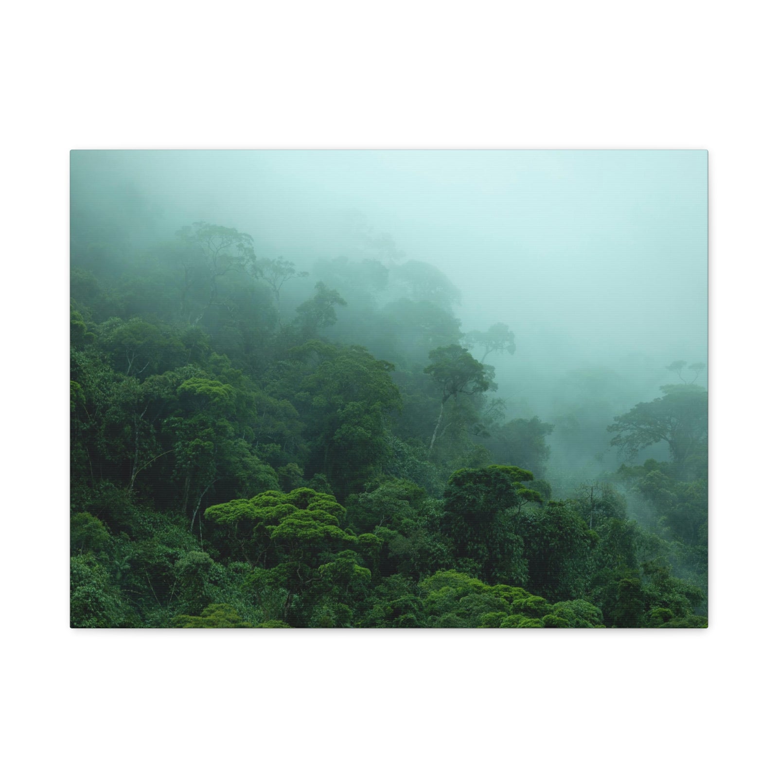 Dark Misty Forest Nature Wilderness Photography Canvas Wall Art for Home Decor Ready-to-Hang-Express Your Love Gifts