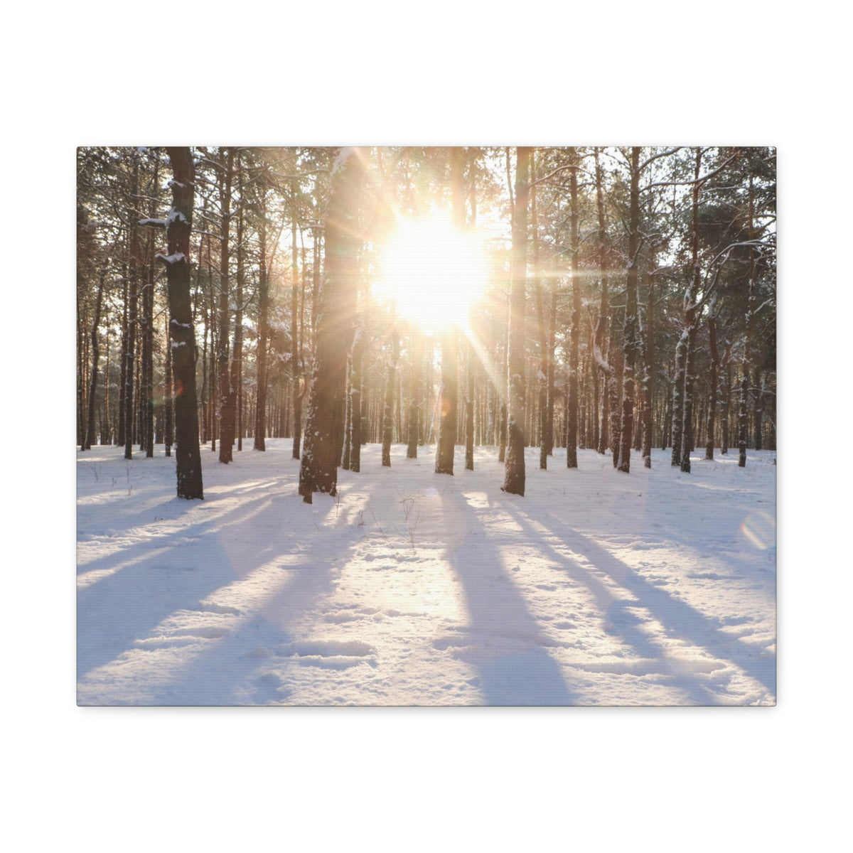 Tree Forest Covered In Snow Nature Wilderness Photography Canvas Wall Art for Home Decor Ready-to-Hang-Express Your Love Gifts