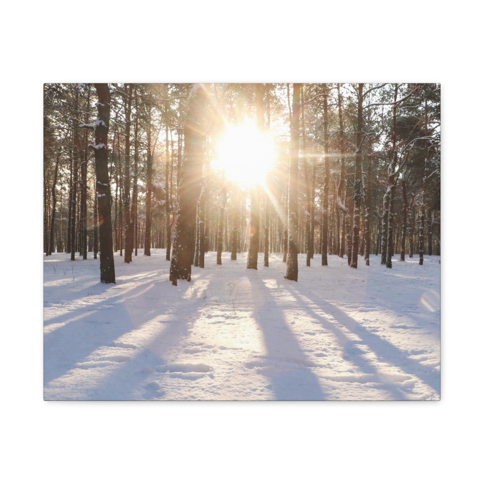 Tree Forest Covered In Snow Nature Wilderness Photography Canvas Wall Art for Home Decor Ready-to-Hang-Express Your Love Gifts