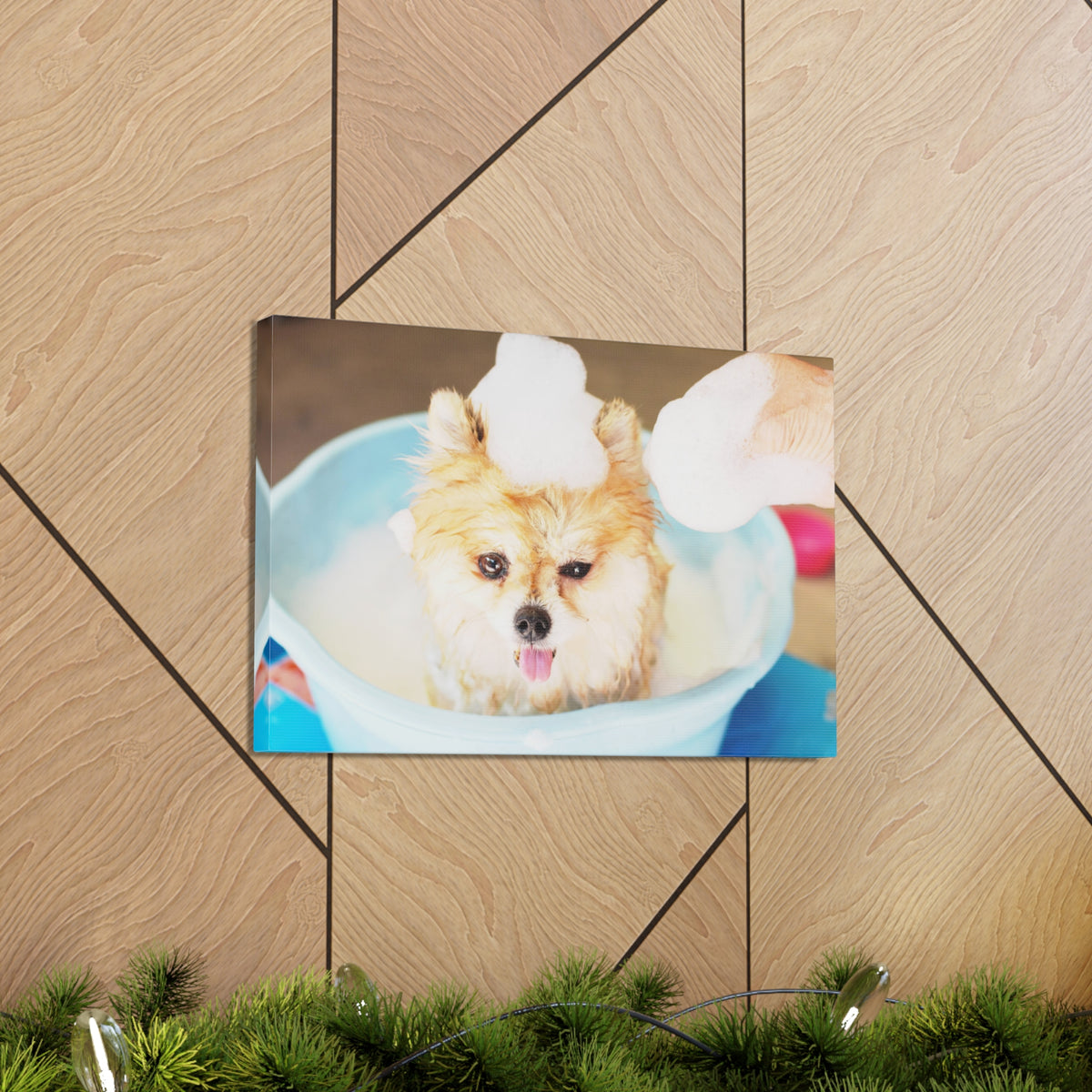 Funny Pomeranian Bathee Canvas Wall Art for Home Decor Ready-to-Hang-Express Your Love Gifts
