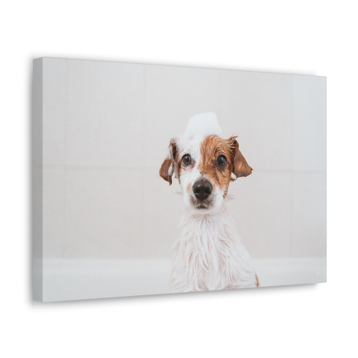 Cute Jack Russell Terrier Bathee Canvas Wall Art for Home Decor Ready-to-Hang-Express Your Love Gifts