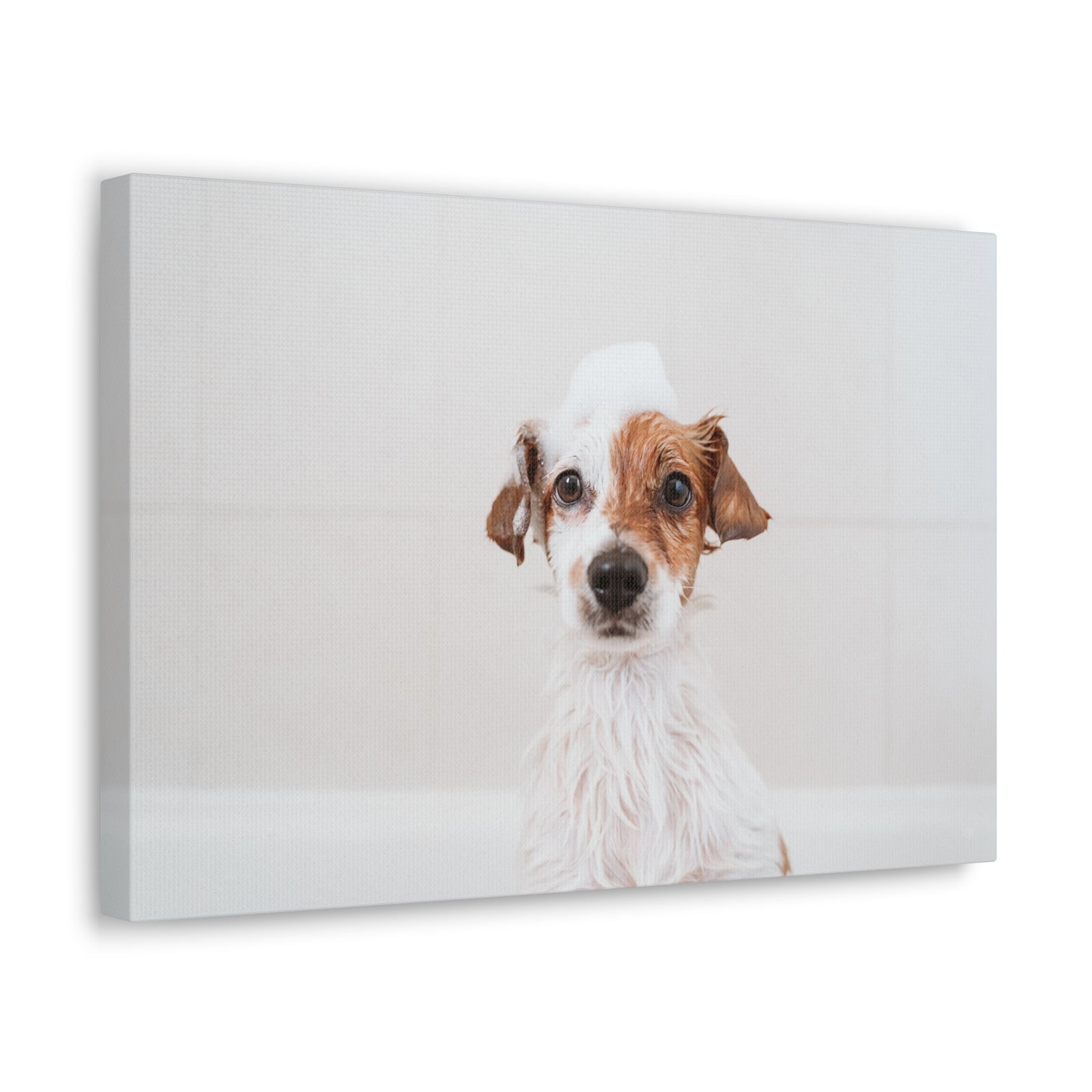 Cute Jack Russell Terrier Bathee Canvas Wall Art for Home Decor Ready-to-Hang-Express Your Love Gifts
