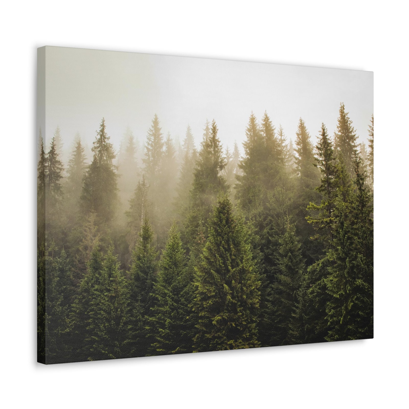 Misty Pine Tree Forest Nature Wilderness Photography Canvas Wall Art for Home Decor Ready-to-Hang-Express Your Love Gifts