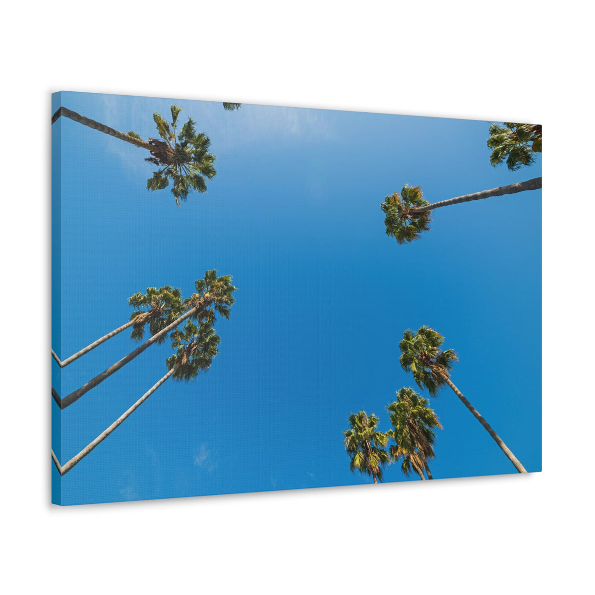 Palm Trees Los Angeles Modern Multicolor Scenic Nature Photography Canvas Home Office Decor Ready to Hang-Express Your Love Gifts