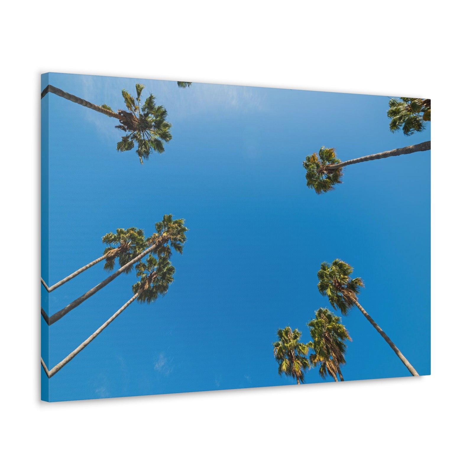Palm Trees Los Angeles Modern Multicolor Scenic Nature Photography Canvas Home Office Decor Ready to Hang-Express Your Love Gifts