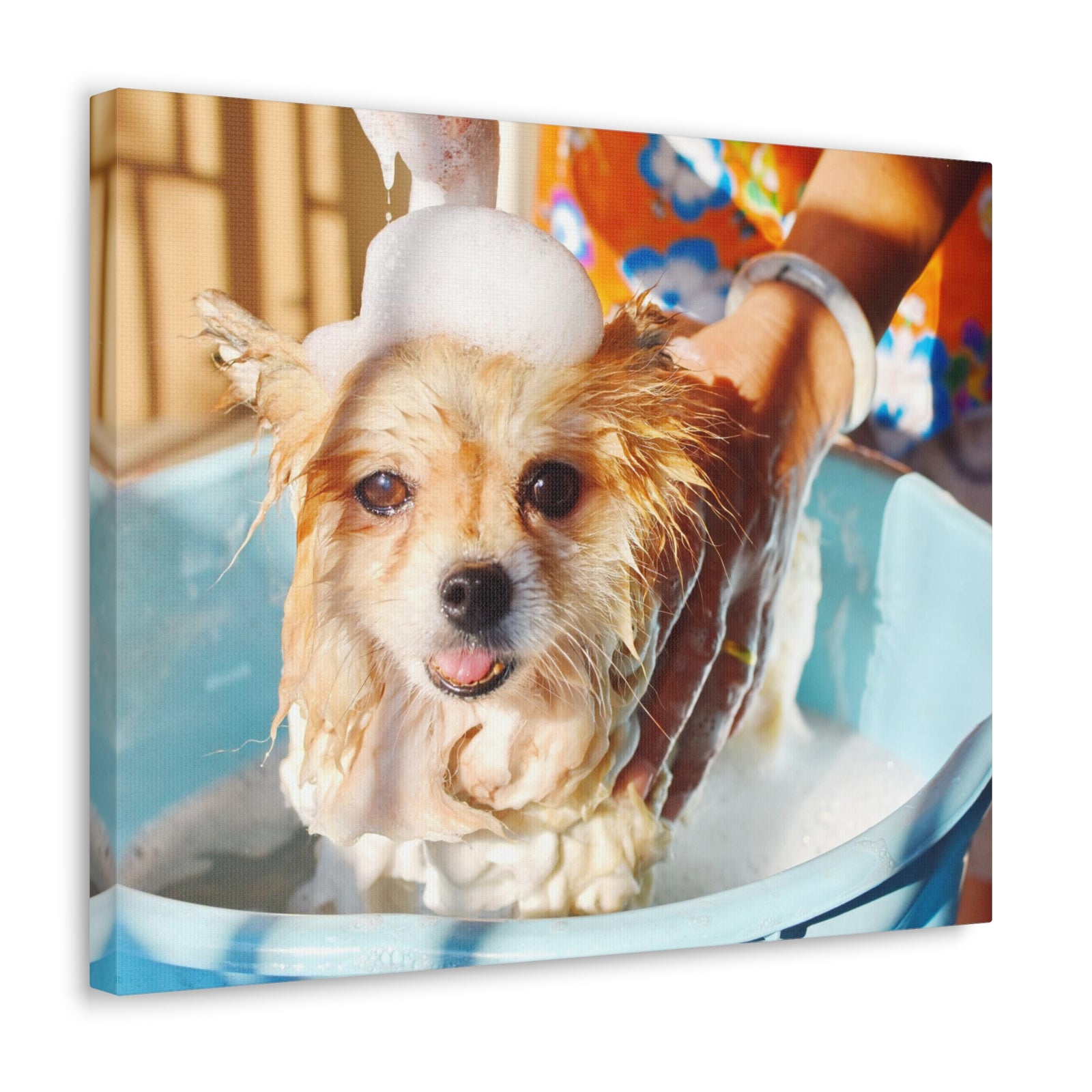 Cute Pomeranian Bathee Canvas Wall Art for Home Decor Ready-to-Hang-Express Your Love Gifts
