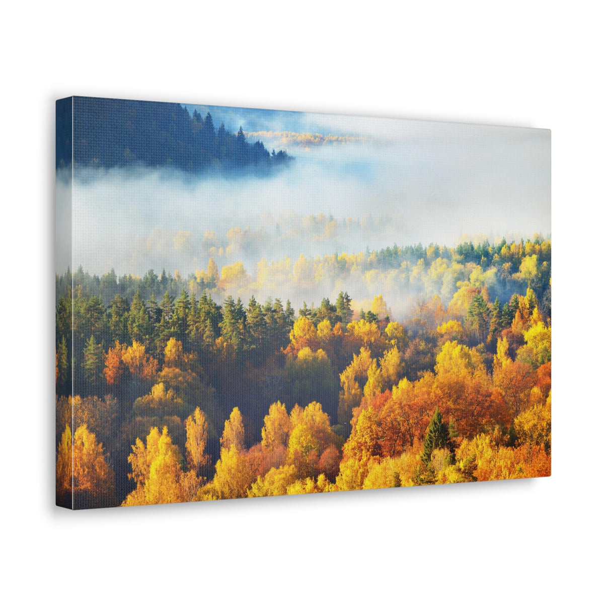Forest Mystic Autumn Nature Wilderness Photography Canvas Wall Art for Home Decor Ready-to-Hang-Express Your Love Gifts