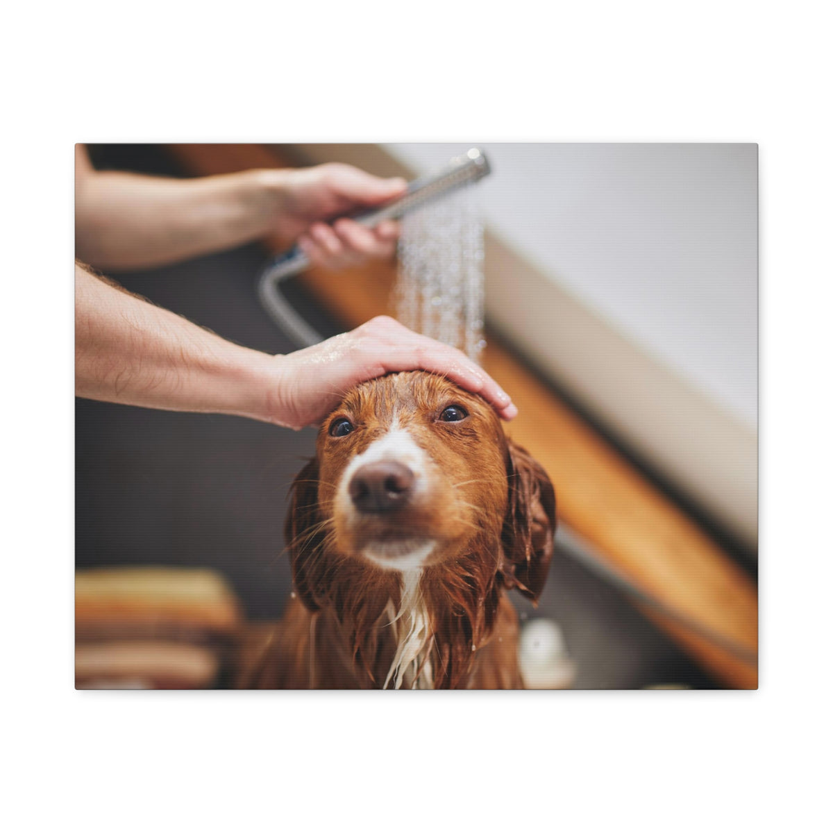 Cute Tolling Retriever Bath Canvas Wall Art for Home Decor Ready-to-Hang-Express Your Love Gifts
