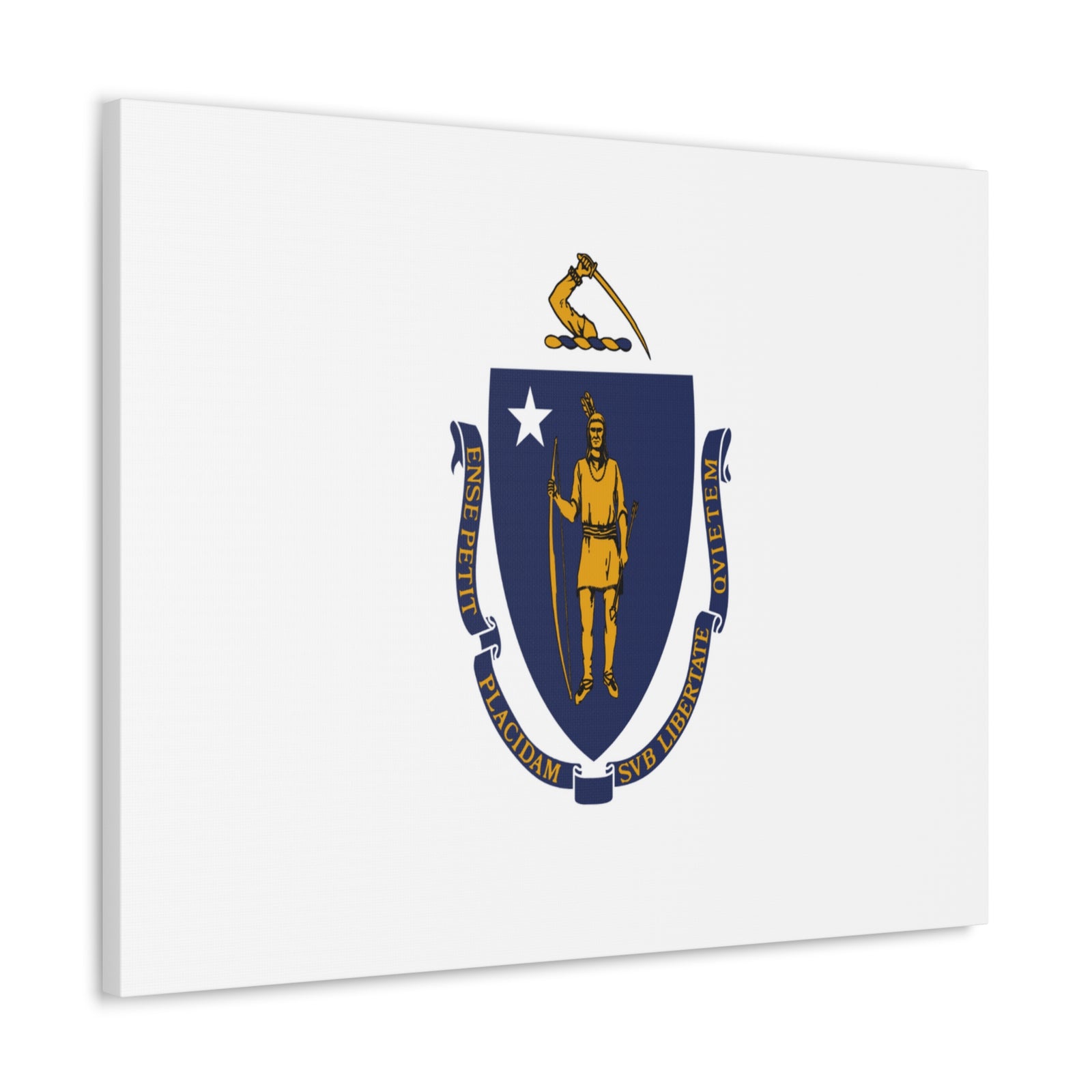 Massachusetts Stage Flag Canvas Vibrant Wall Art Unframed Home Decor-Express Your Love Gifts