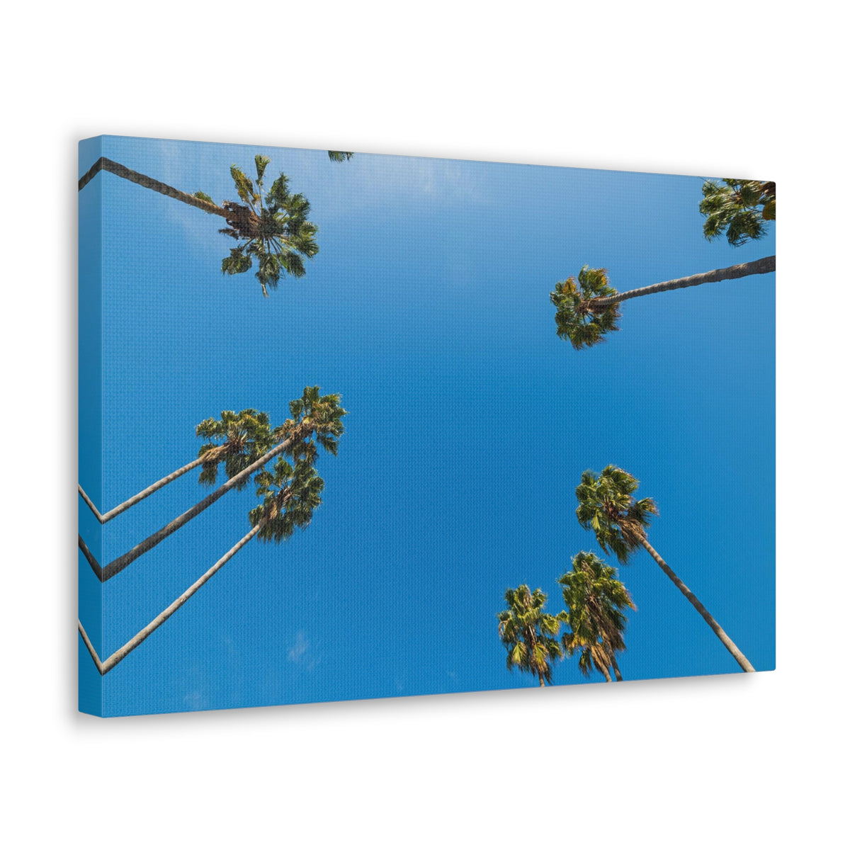 Palm Trees Los Angeles Modern Multicolor Scenic Nature Photography Canvas Home Office Decor Ready to Hang-Express Your Love Gifts