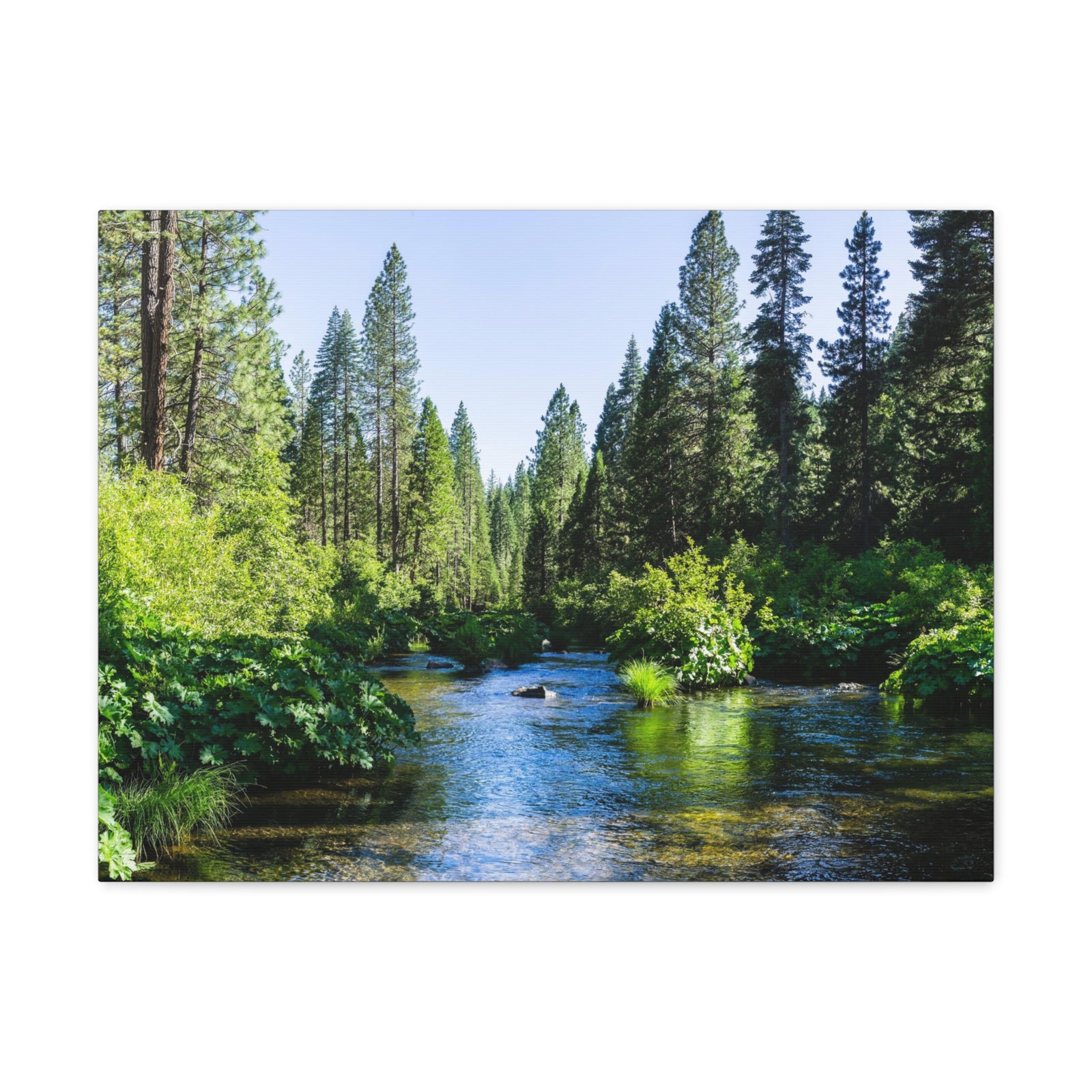 River Through The Green Forest Nature Wilderness Photography Canvas Wall Art for Home Decor Ready-to-Hang-Express Your Love Gifts