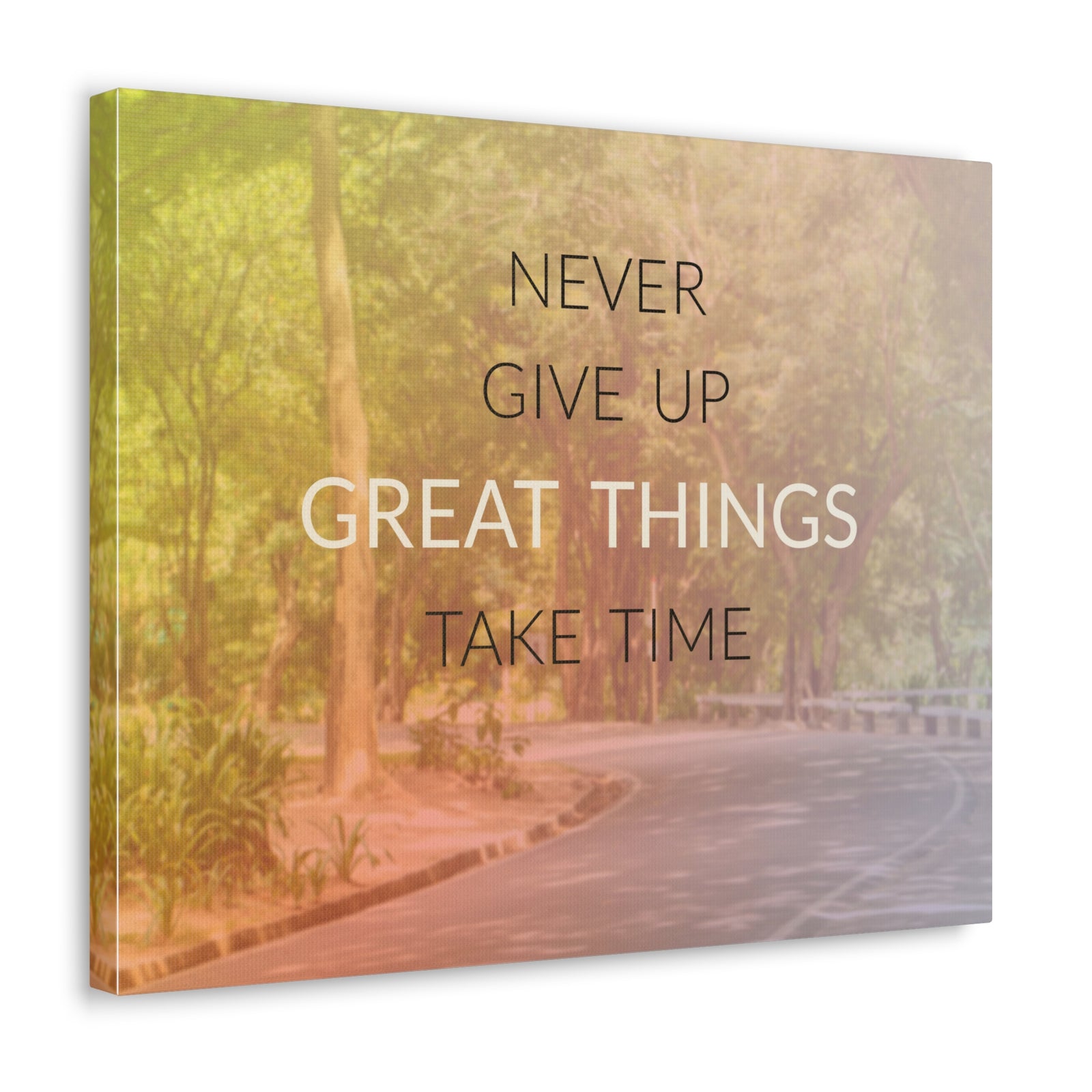 Inspirational Quote Canvas Never Give Up Motivational Print Ready to Hang Artwork-Express Your Love Gifts