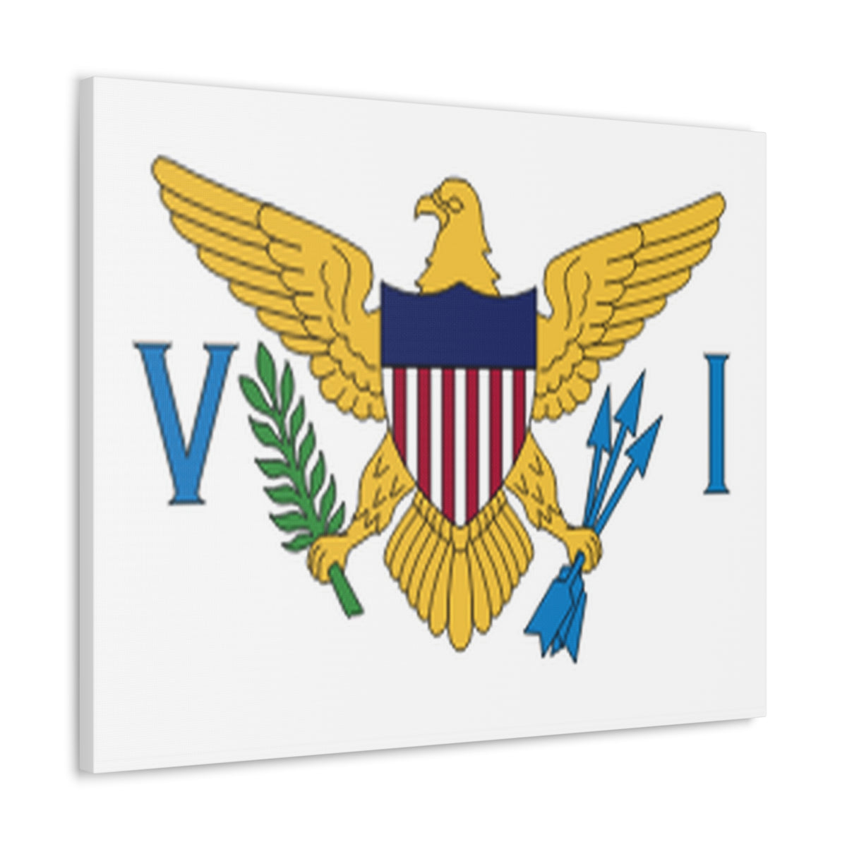 United States Virgin Islands Country Flag Canvas Vibrant Wall Art Unframed Home Decor-Express Your Love Gifts