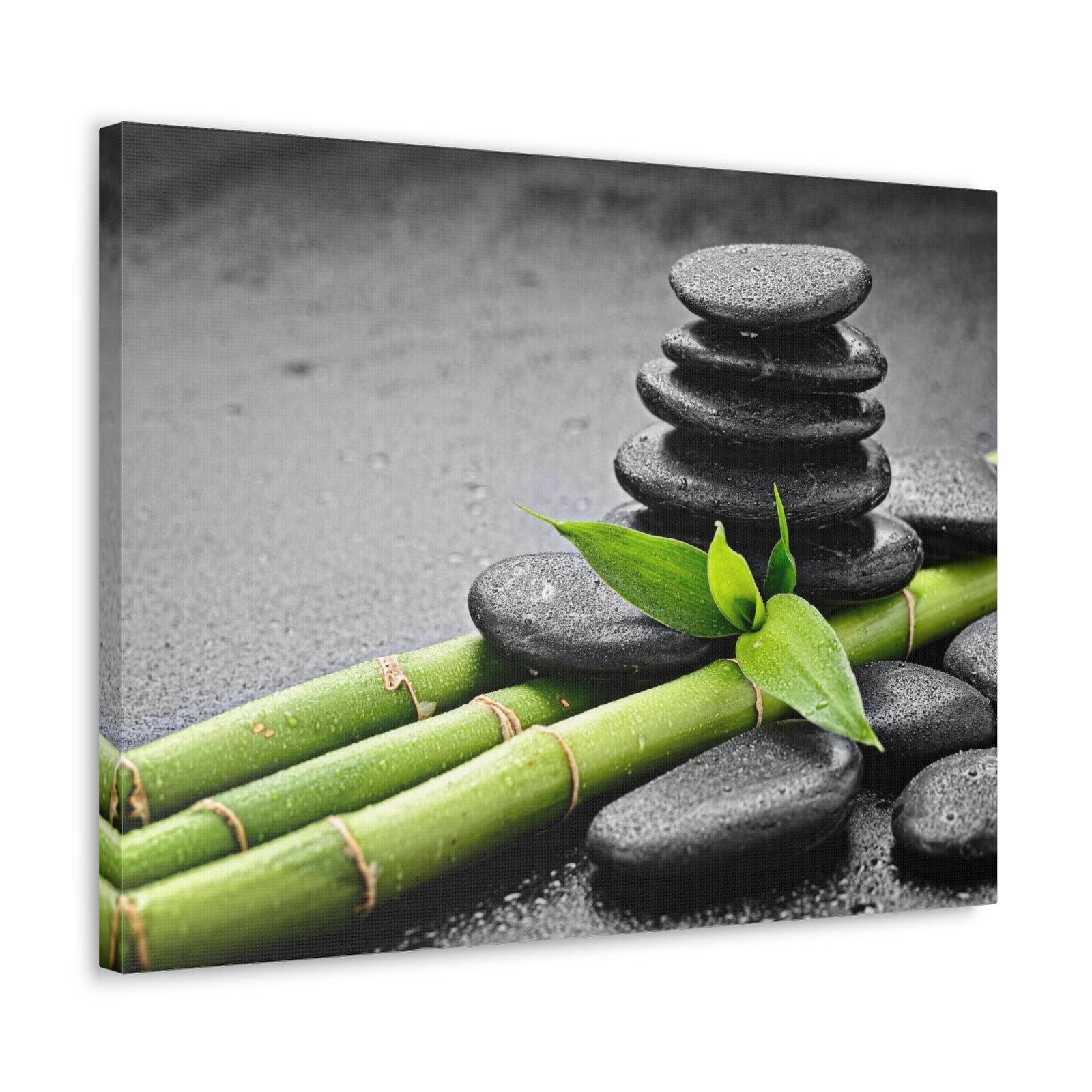 Bamboo on the Black Forest Floral Nature Photography Canvas Wall Art for Home Decor Ready-to-Hang-Express Your Love Gifts