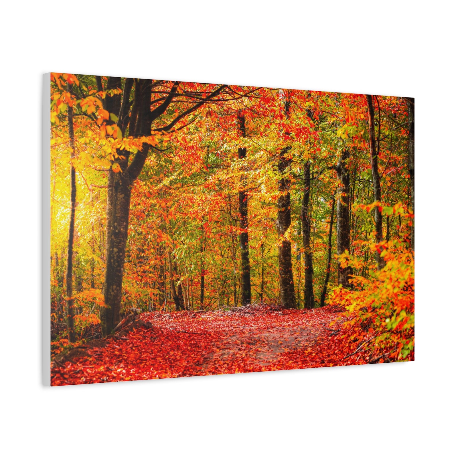 Autumn Forest Orange Leave Tree Nature Wilderness Photography Canvas Wall Art for Home Decor Ready-to-Hang-Express Your Love Gifts