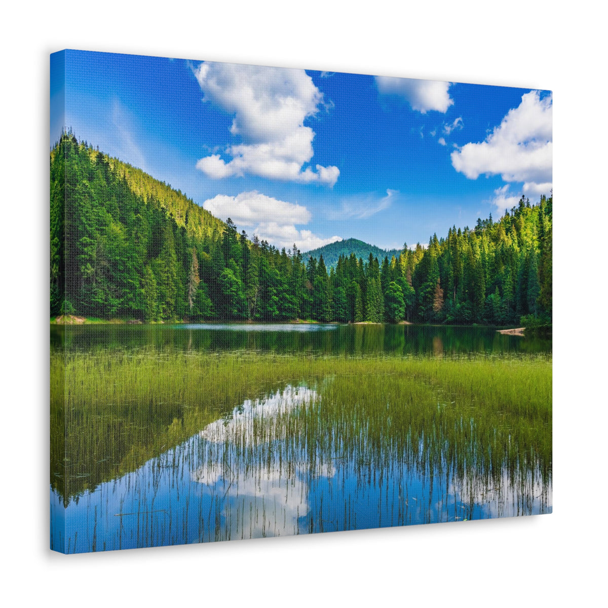 Teal Clear Forest LakeNature Wilderness Photography Canvas Wall Art for Home Decor Ready-to-Hang-Express Your Love Gifts