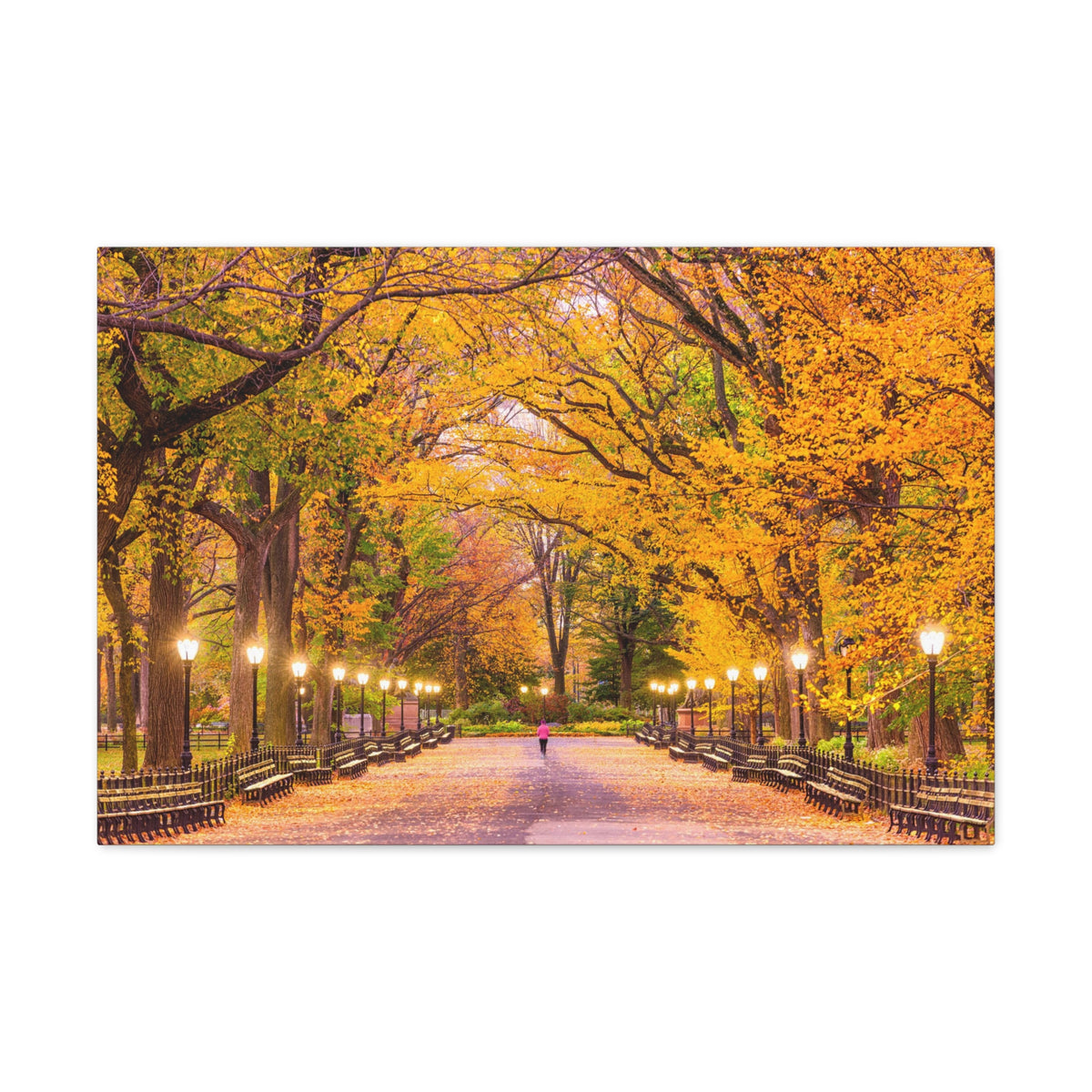 Orange Tree Autumn Park Nature Wilderness Photography Canvas Wall Art for Home Decor Ready-to-Hang-Express Your Love Gifts