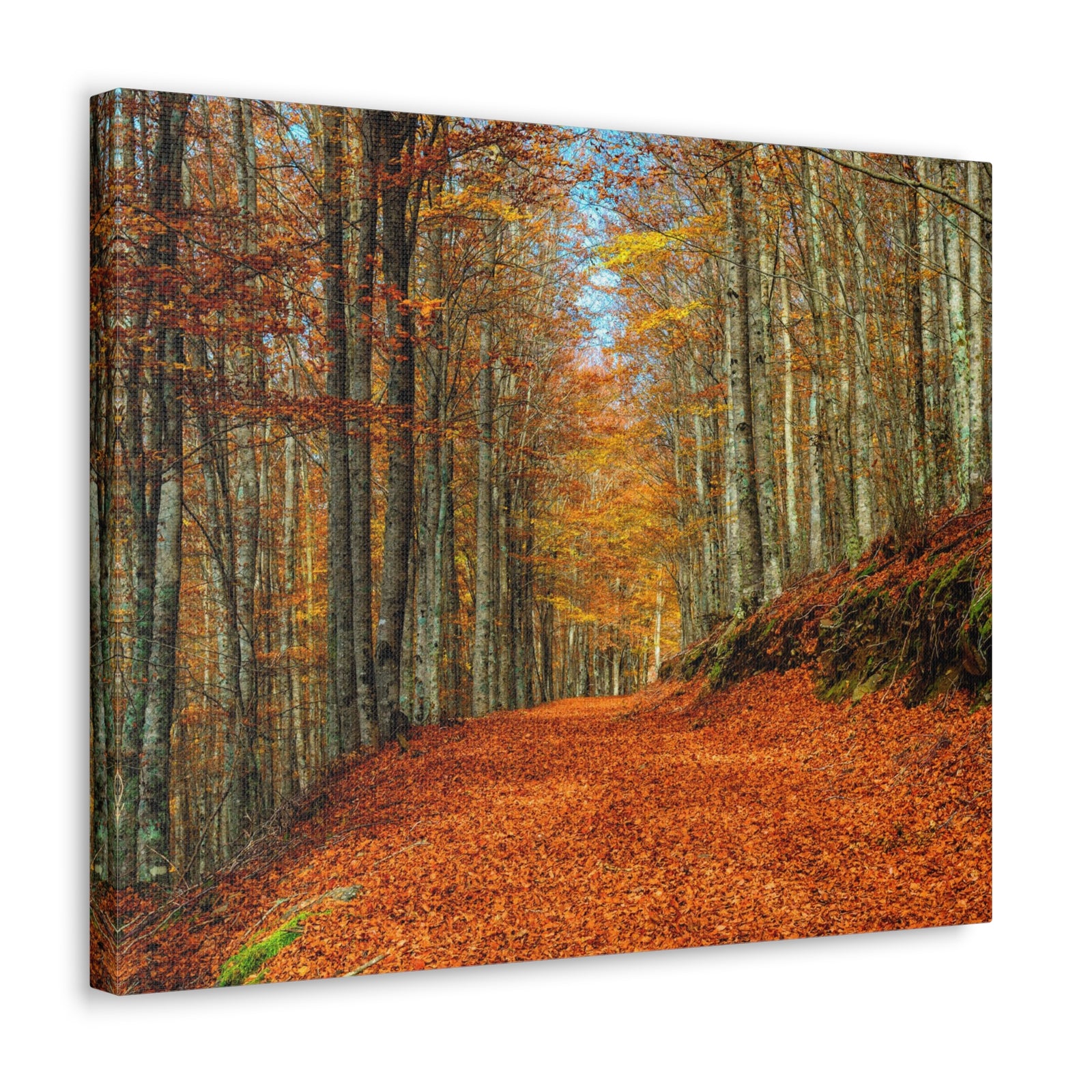 Path Through Red & Orange Autumn Park Nature Wilderness Photography Canvas Wall Art for Home Decor Ready-to-Hang-Express Your Love Gifts
