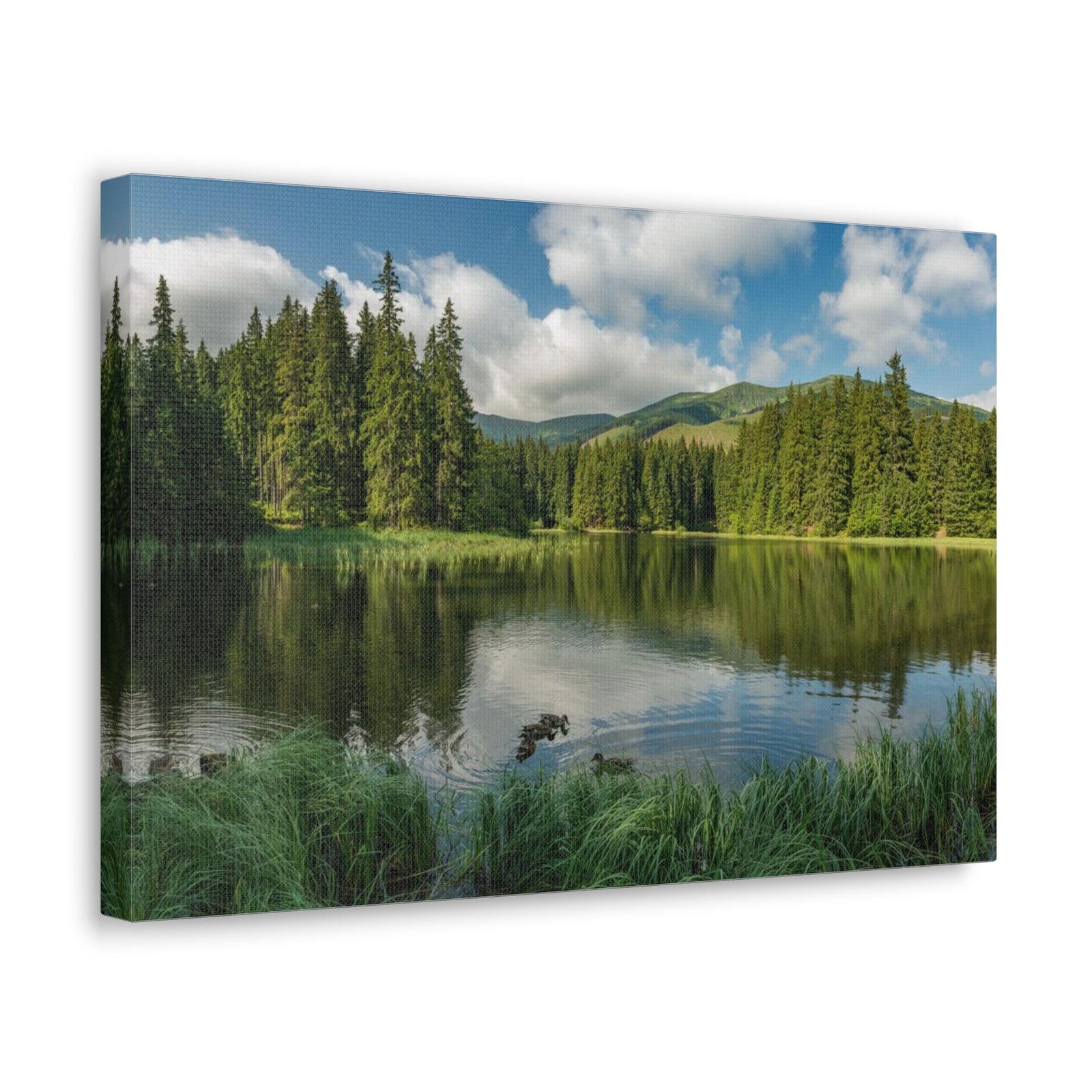 Lake Reflection Green Forest Nature Wilderness Photography Canvas Wall Art for Home Decor Ready-to-Hang-Express Your Love Gifts