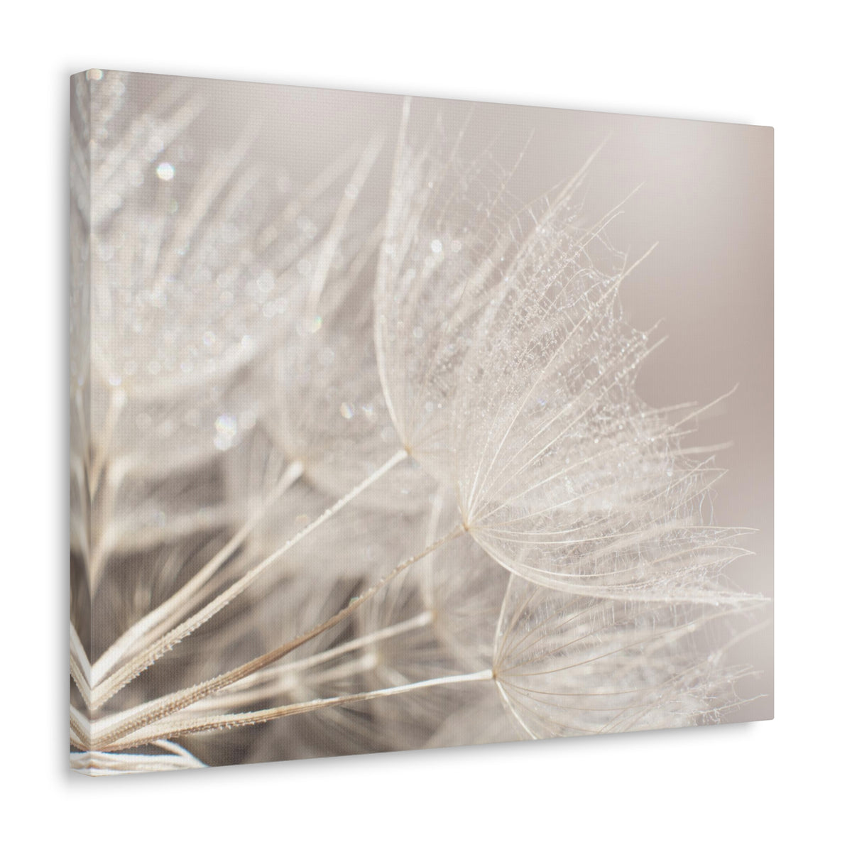 Soft Focus Dandelion At Sunset Seed Macro Closeup Canvas Wall Art for Home Decor Ready-to-Hang-Express Your Love Gifts