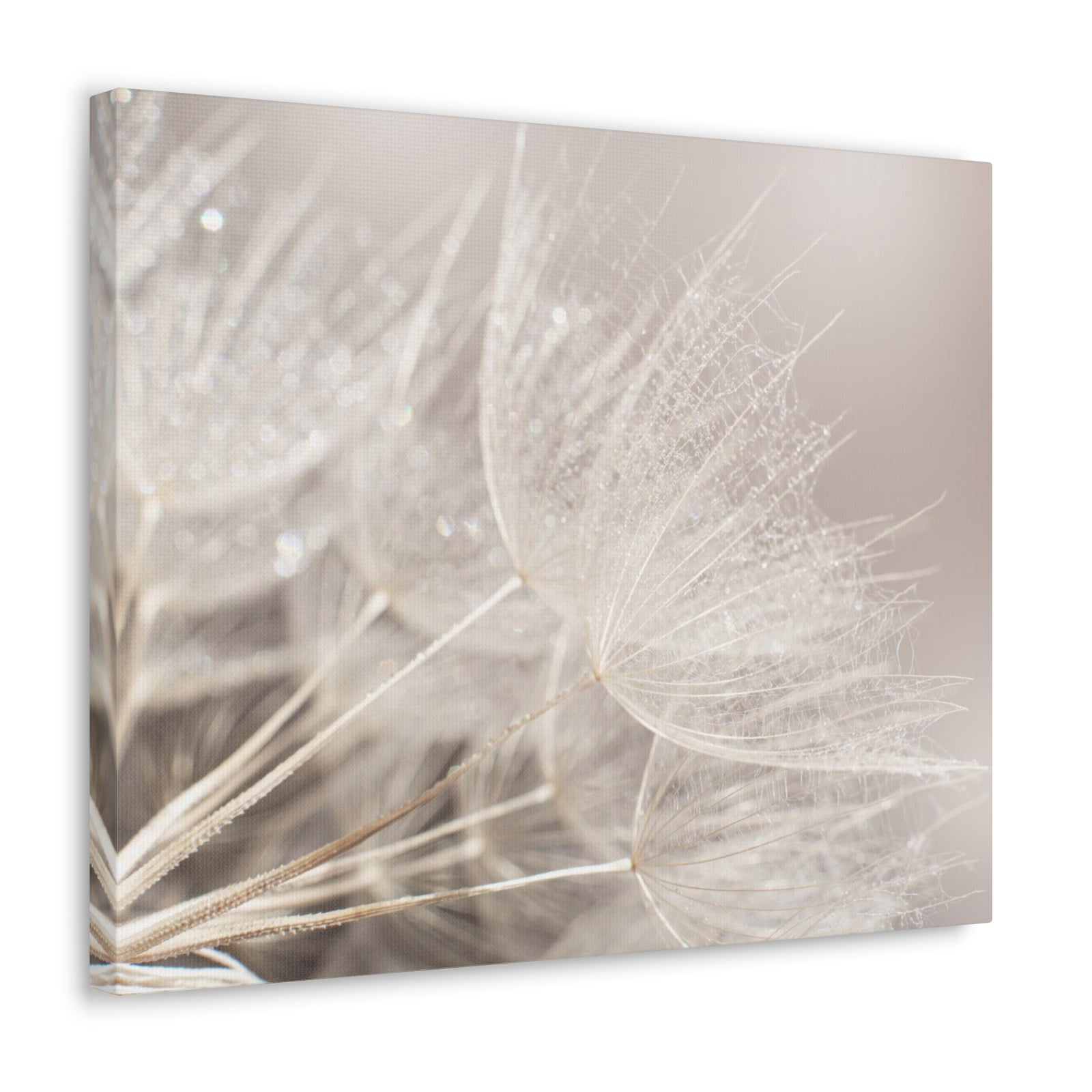 Soft Focus Dandelion At Sunset Seed Macro Closeup Canvas Wall Art for Home Decor Ready-to-Hang-Express Your Love Gifts