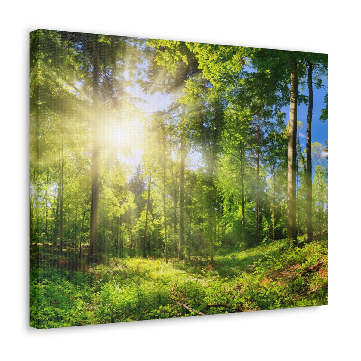Sunrise Through Green Forest Nature Wilderness Photography Canvas Wall Art for Home Decor Ready-to-Hang-Express Your Love Gifts