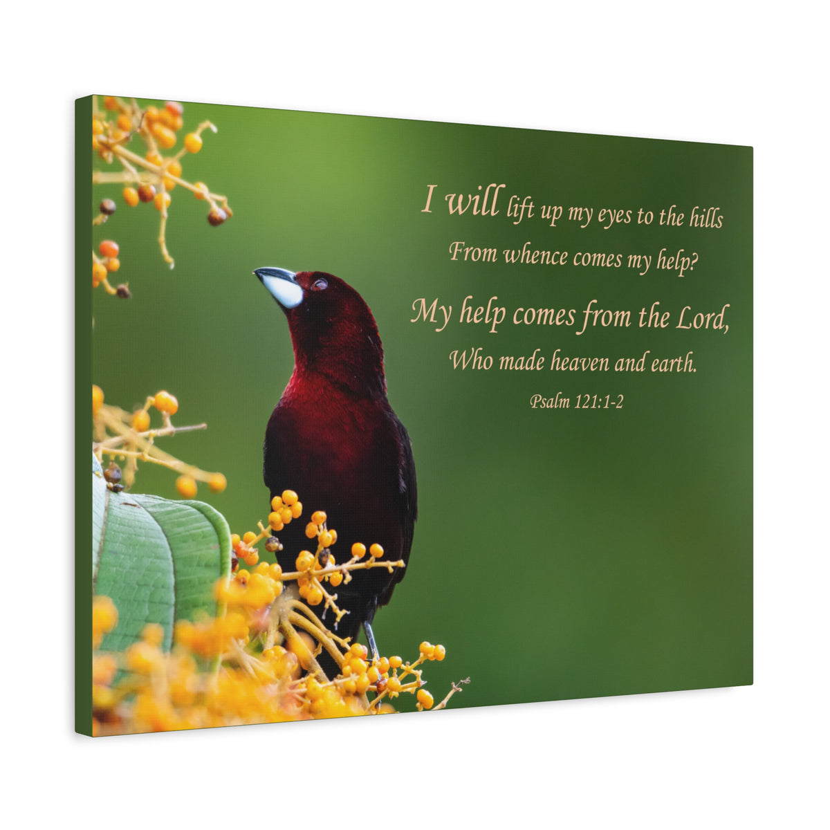 Scripture Walls Psalm 121:1-2 Heaven and Earth Bible Verse Canvas Christian Wall Art Ready to Hang Unframed-Express Your Love Gifts