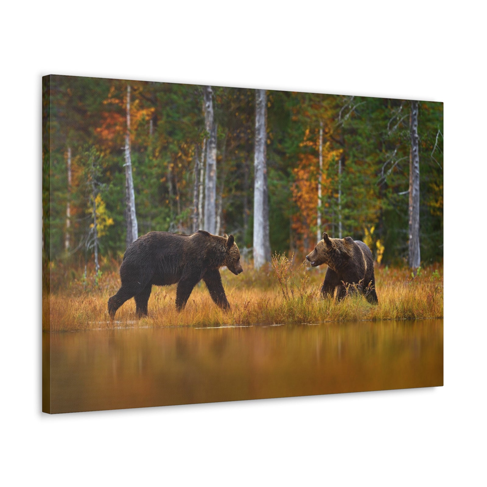 Spring Forest Bears Nature Wilderness Photography Canvas Wall Art for Home Decor Ready-to-Hang-Express Your Love Gifts
