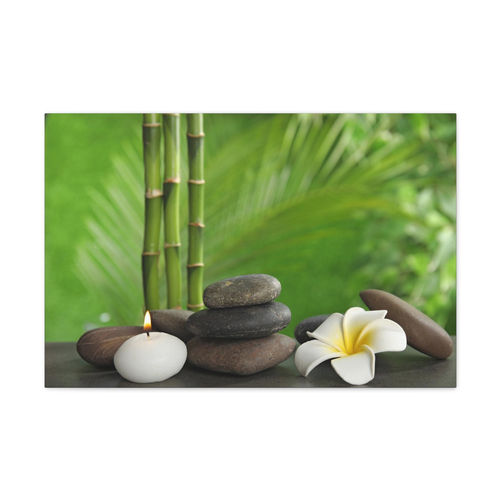 Stones on Table Forest Floral Nature Photography Canvas Wall Art for Home Decor Ready-to-Hang-Express Your Love Gifts