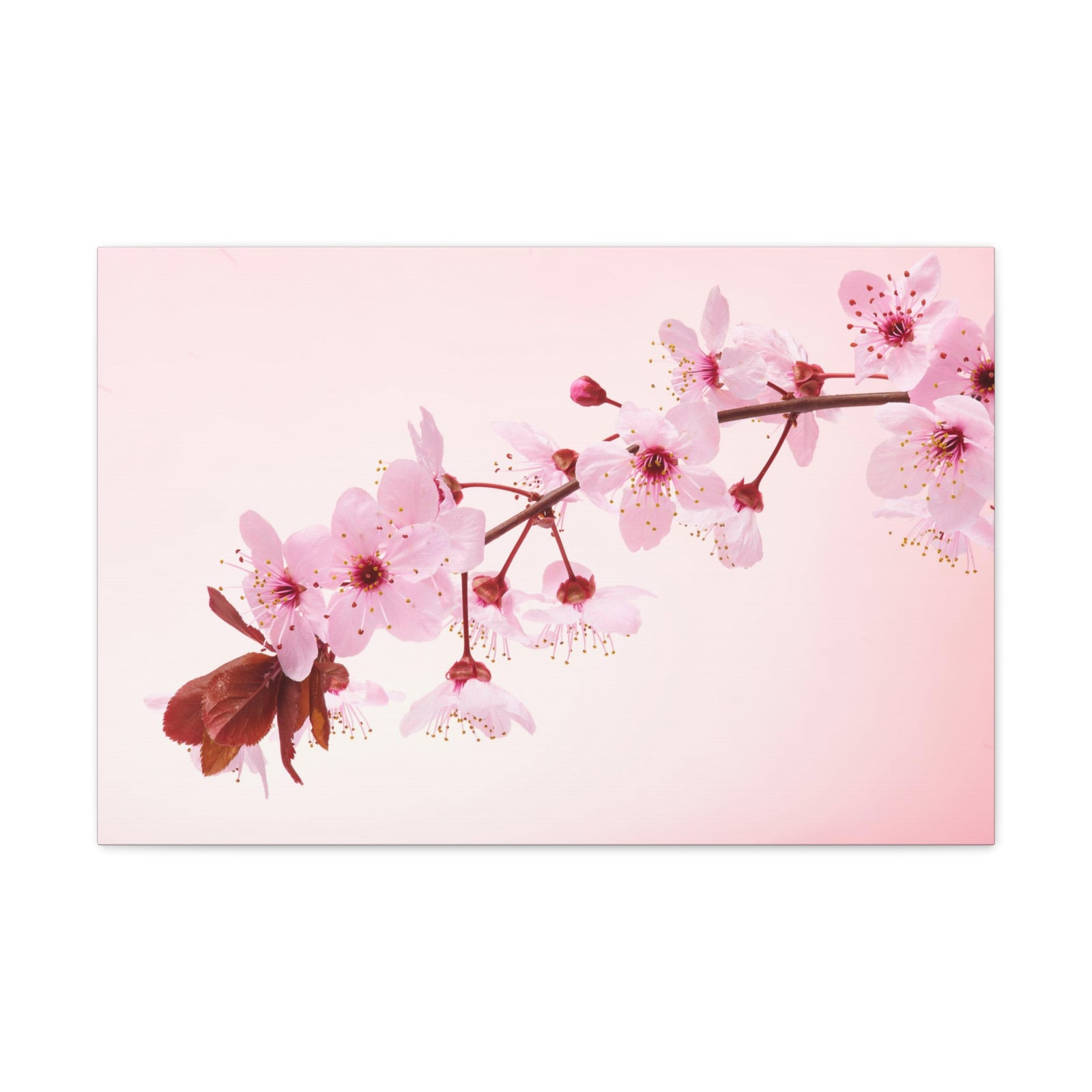 Single Cherry Blossom Forest Floral Nature Photography Canvas Wall Art for Home Decor Ready-to-Hang-Express Your Love Gifts
