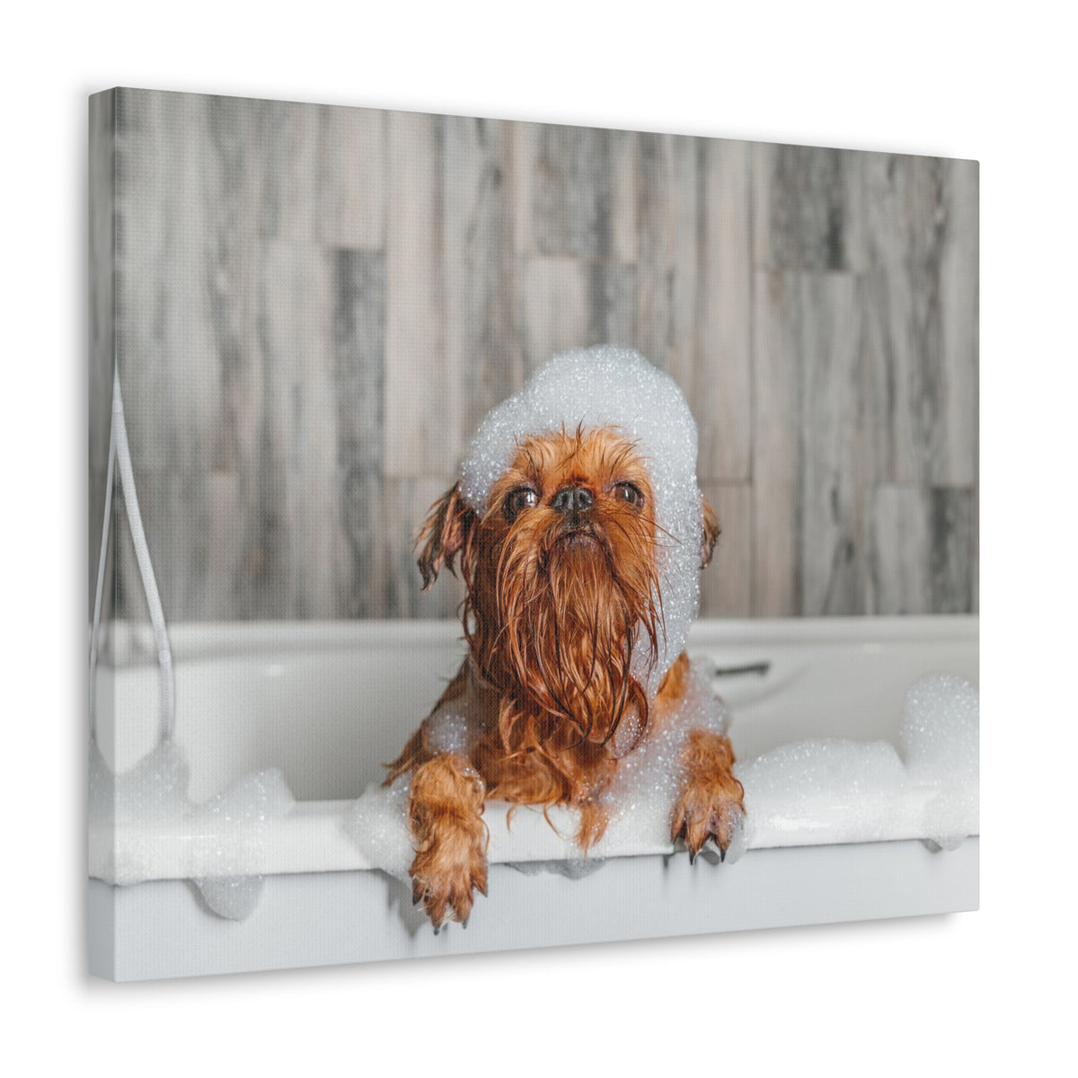 Cute Little Griffon Bathee Canvas Wall Art for Home Decor Ready-to-Hang-Express Your Love Gifts