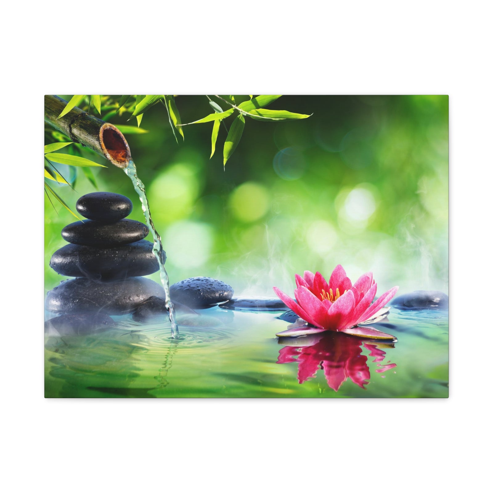 Stones and Waterlily Forest Floral Nature Photography Canvas Wall Art for Home Decor Ready-to-Hang-Express Your Love Gifts