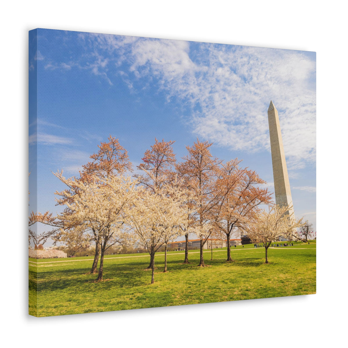 Pink Tree Cherry Blossom Festival at The National Mall Washington Modern Multicolor Scenic Nature Photography Canvas Home Office Decor Ready to Hang-Express Your Love Gifts
