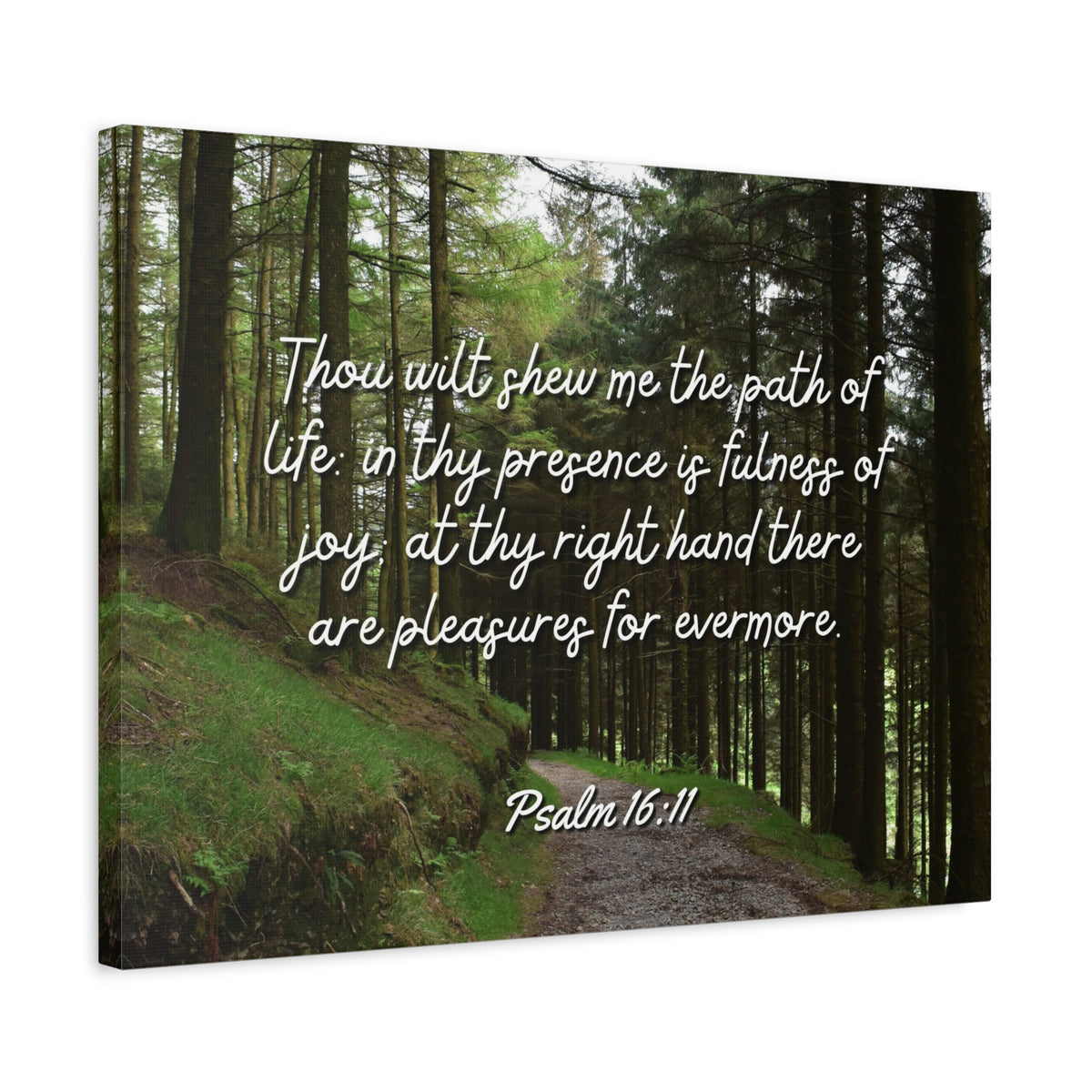 Scripture Walls The Path Of Life Psalm 16:11 Bible Verse Canvas Christian Wall Art Ready to Hang-Express Your Love Gifts