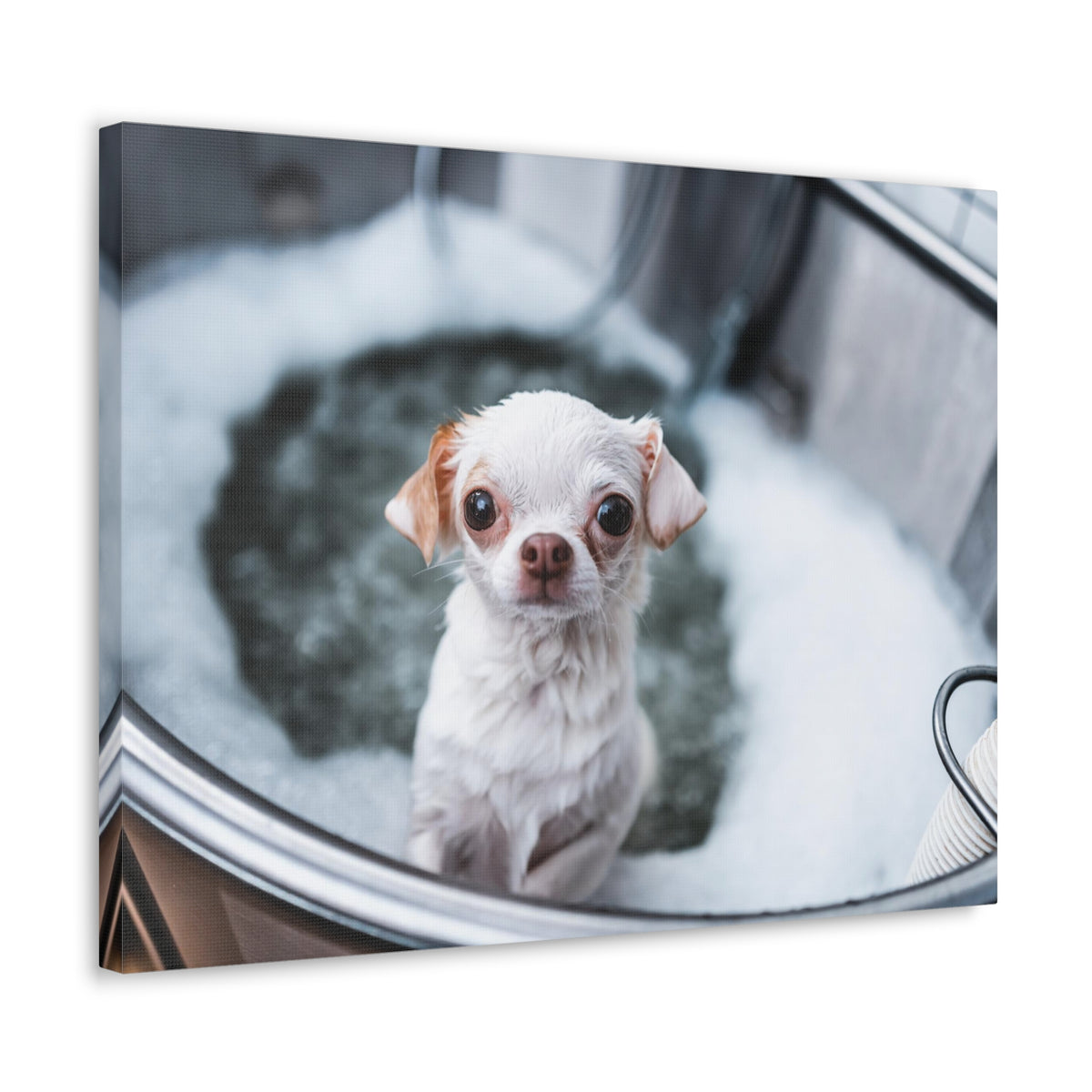 Cute Chihuahua Bathee Canvas Wall Art for Home Decor Ready-to-Hang-Express Your Love Gifts
