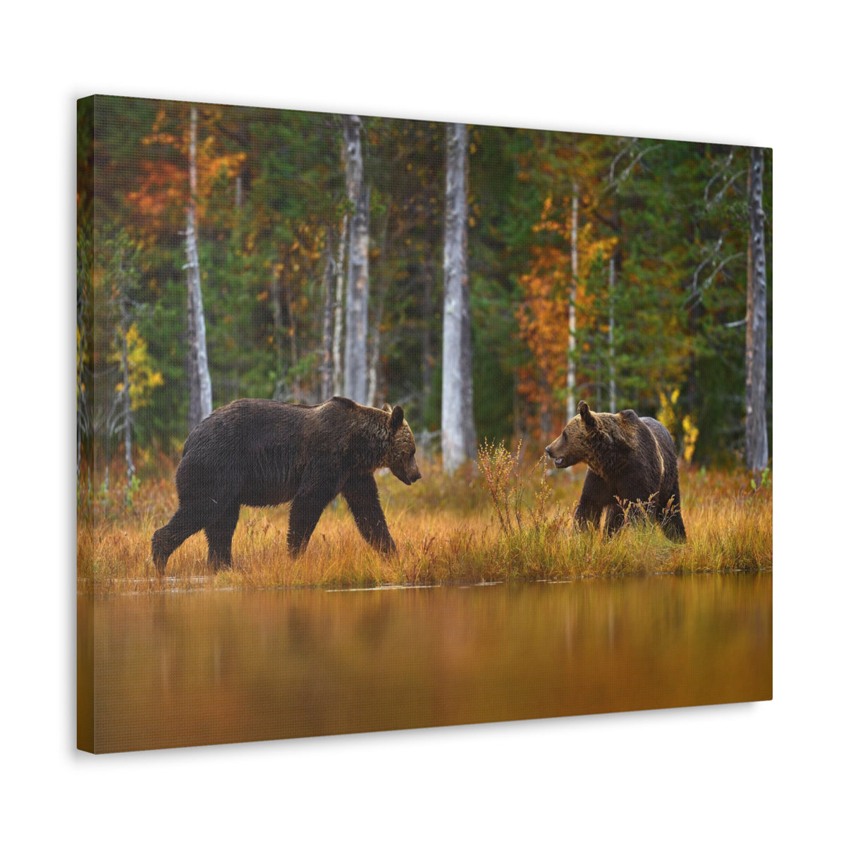 Spring Forest Bears Nature Wilderness Photography Canvas Wall Art for Home Decor Ready-to-Hang-Express Your Love Gifts
