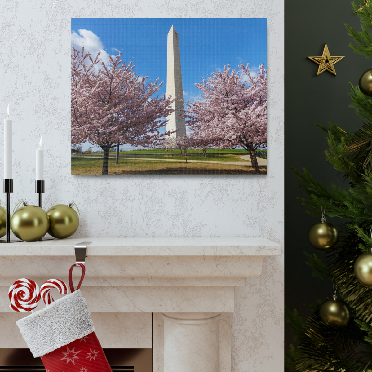 Mall Washington Blossom Festival Nature Wilderness Photography Canvas Wall Art for Home Decor Ready-to-Hang-Express Your Love Gifts