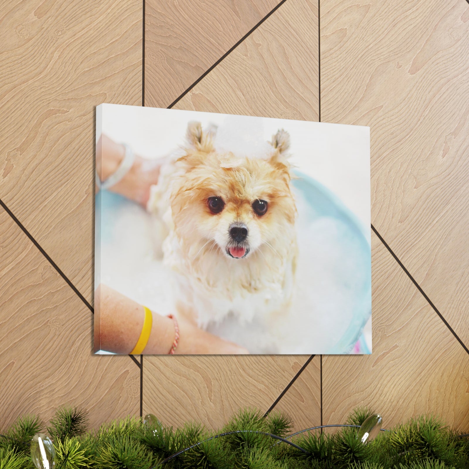 Cute Pomeranian Bath Canvas Wall Art for Home Decor Ready-to-Hang-Express Your Love Gifts