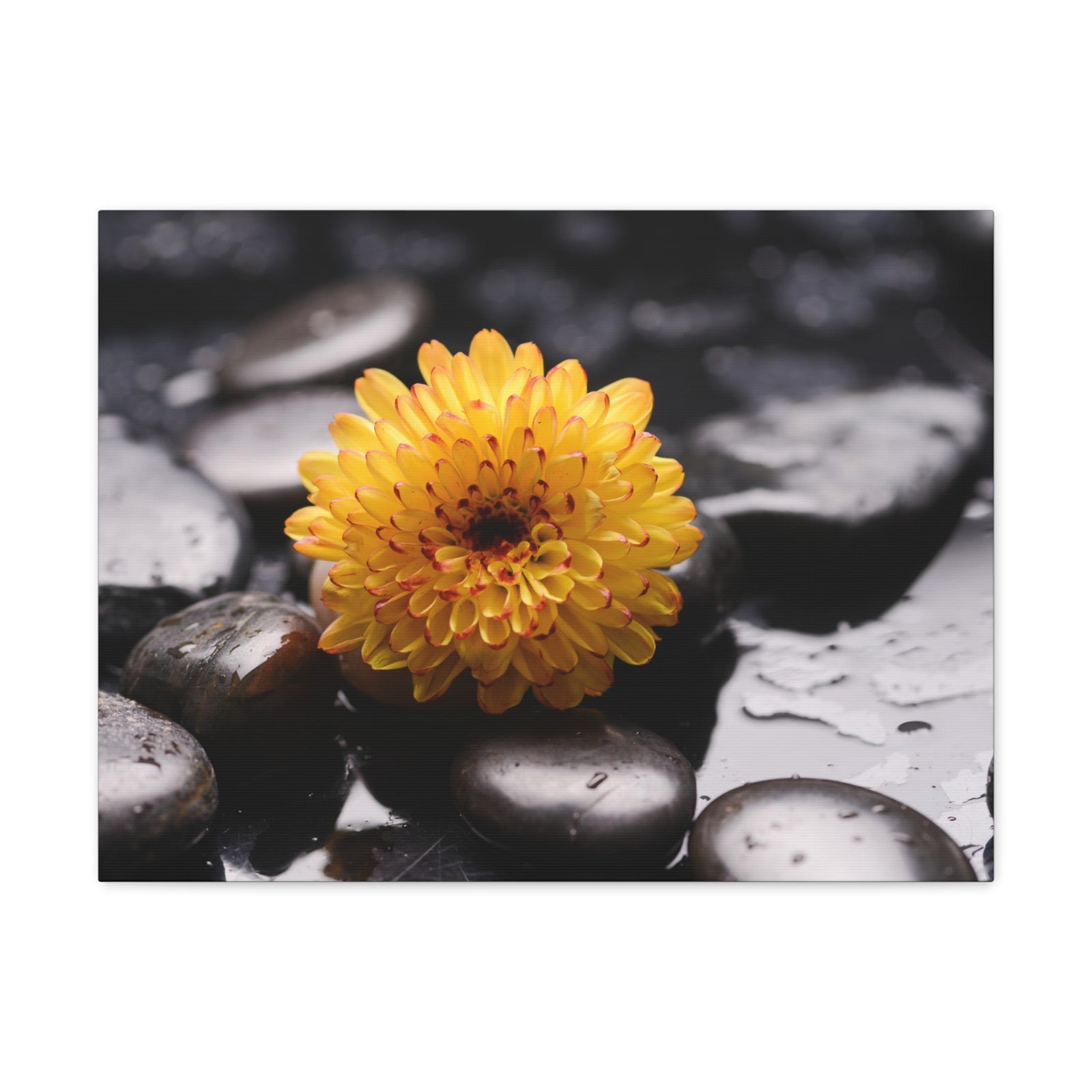 Macro of Yellow Flower Forest Floral Nature Photography Canvas Wall Art for Home Decor Ready-to-Hang-Express Your Love Gifts