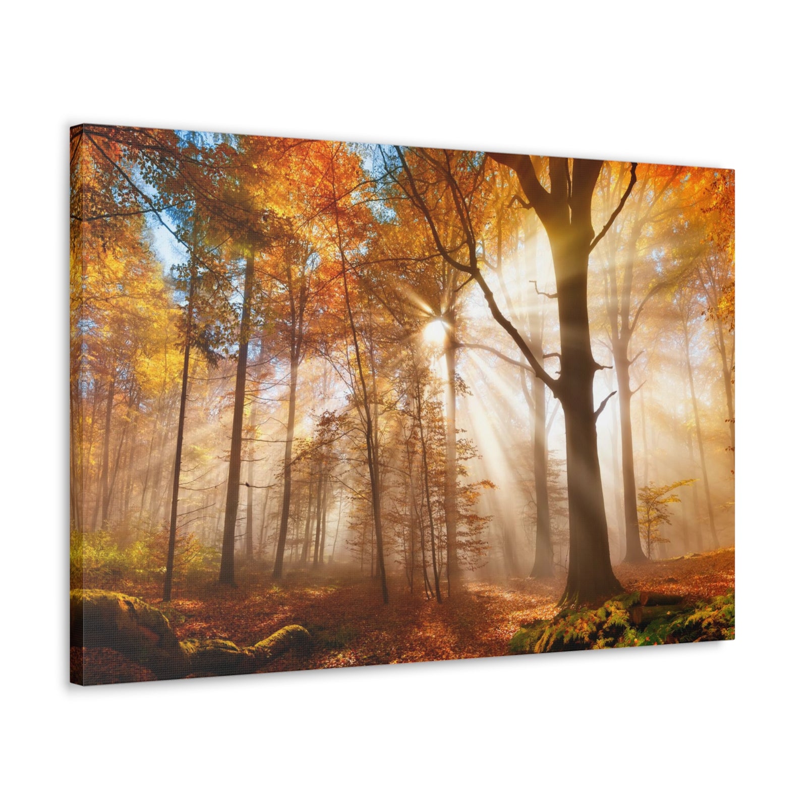 Sunlight Shine Autumn Forest Nature Wilderness Photography Canvas Wall Art for Home Decor Ready-to-Hang-Express Your Love Gifts