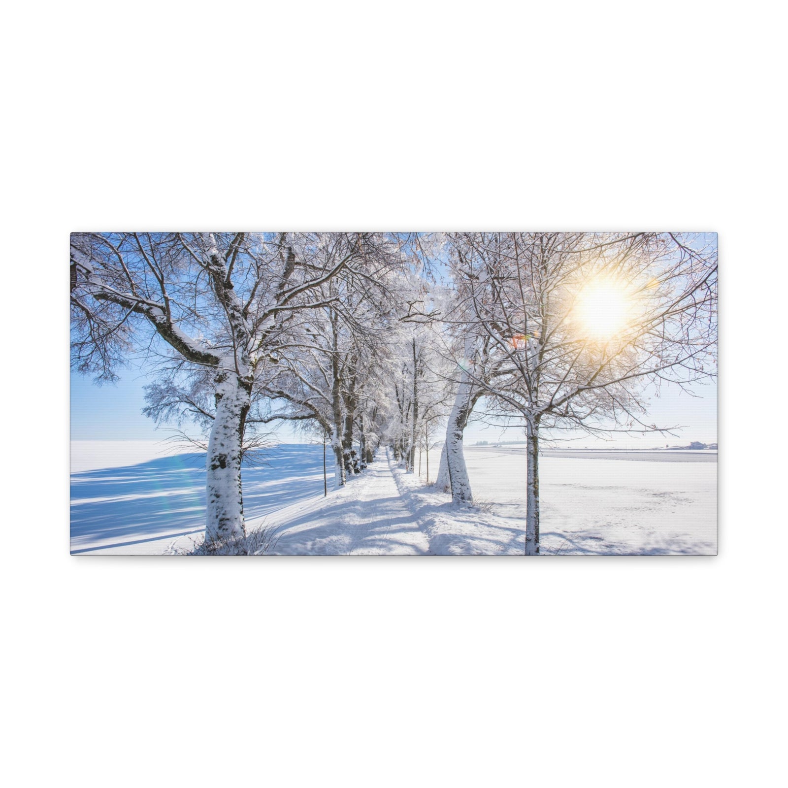 Small Footpath In Winter Through Trees Canvas Wall Art for Home Decor Ready-to-Hang-Express Your Love Gifts
