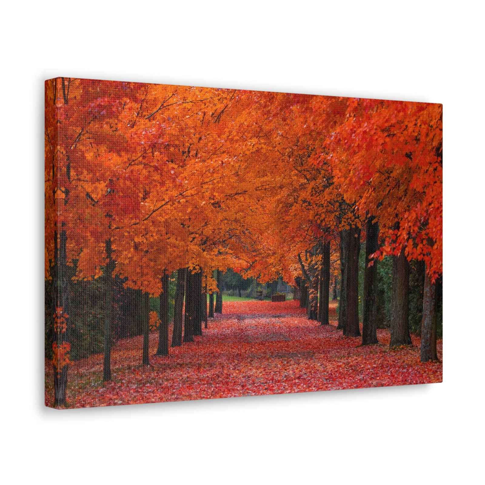 Autumn Forest Orange Leave Tree Trail Nature Wilderness Photography Canvas Wall Art for Home Decor Ready-to-Hang-Express Your Love Gifts